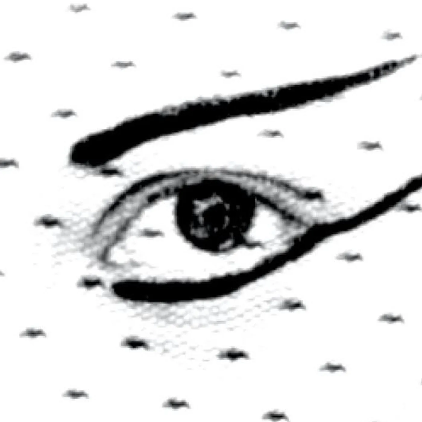 Lauren Hoffman Brand Page