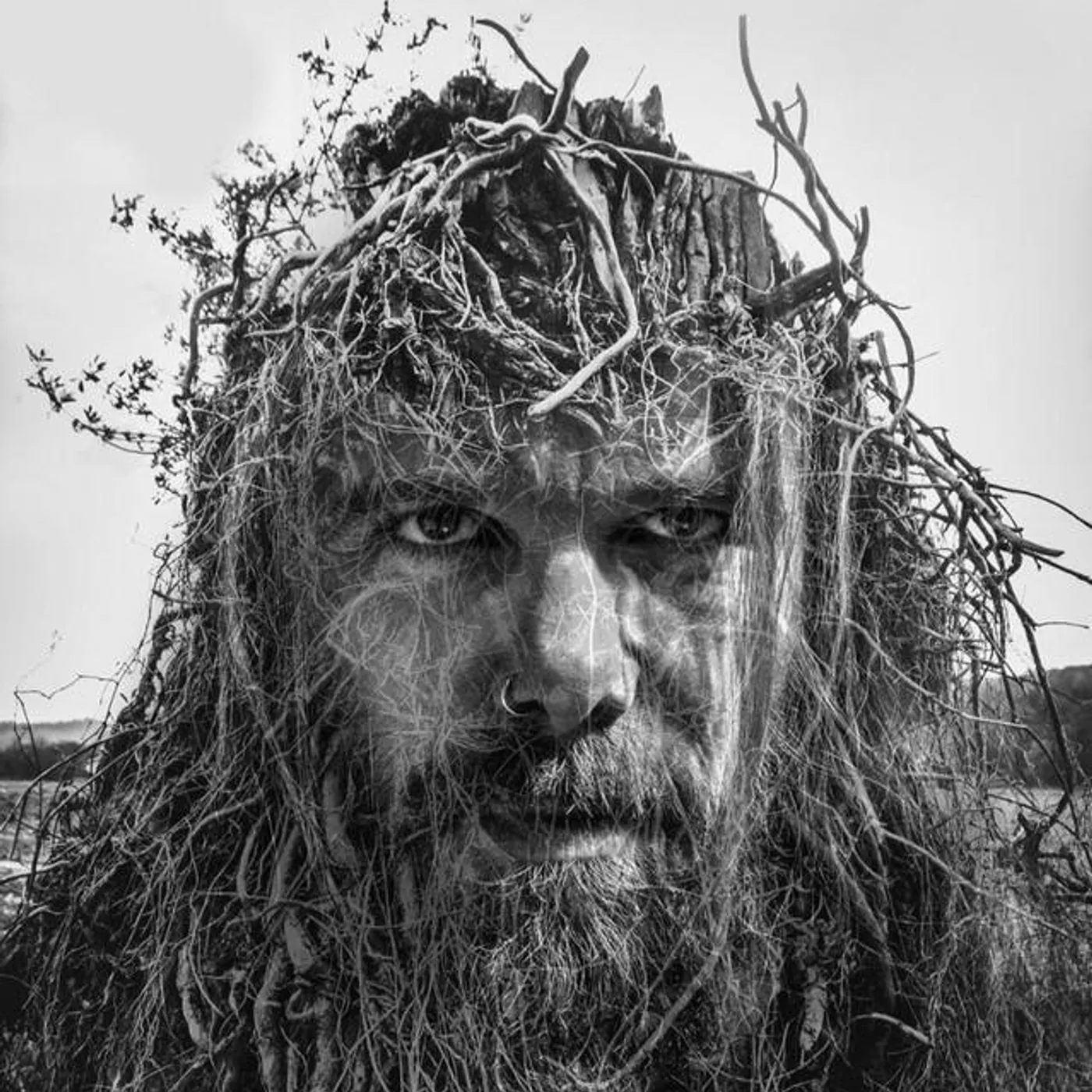 Laurent David Brand Page