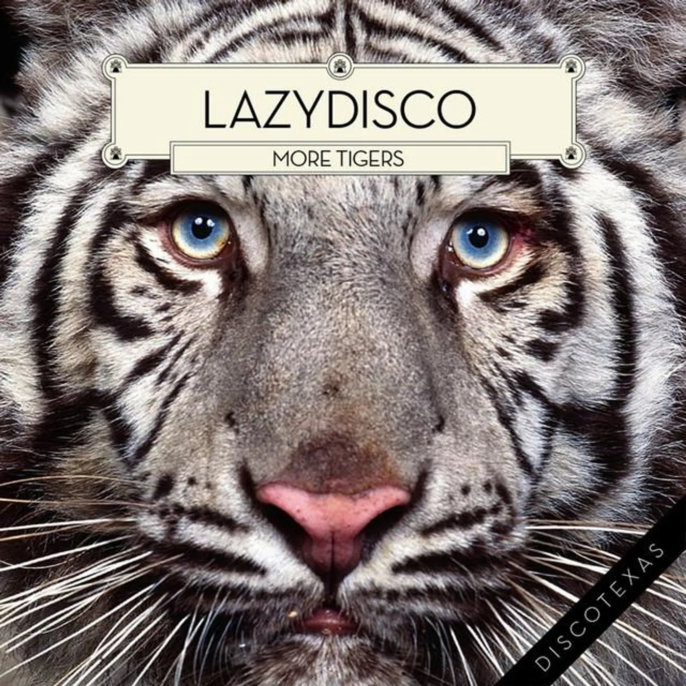 Lazydisco
