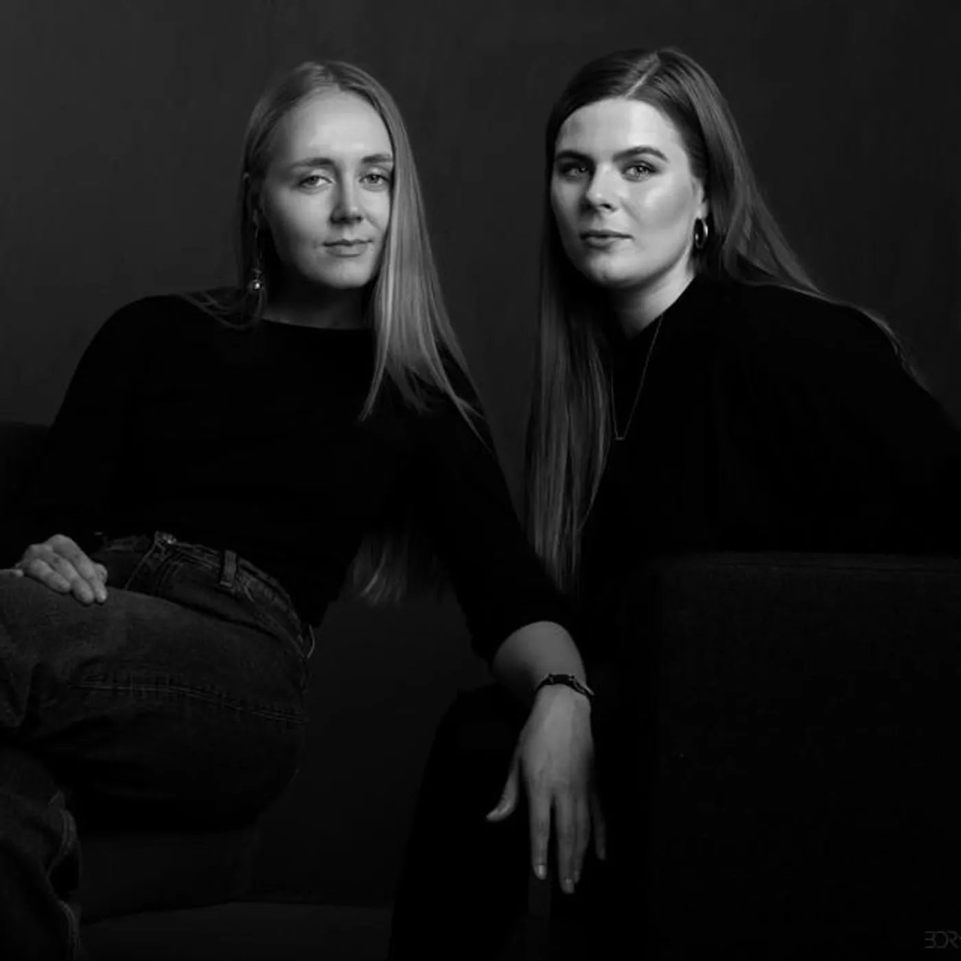 Ladybird Orchestra Brand Page