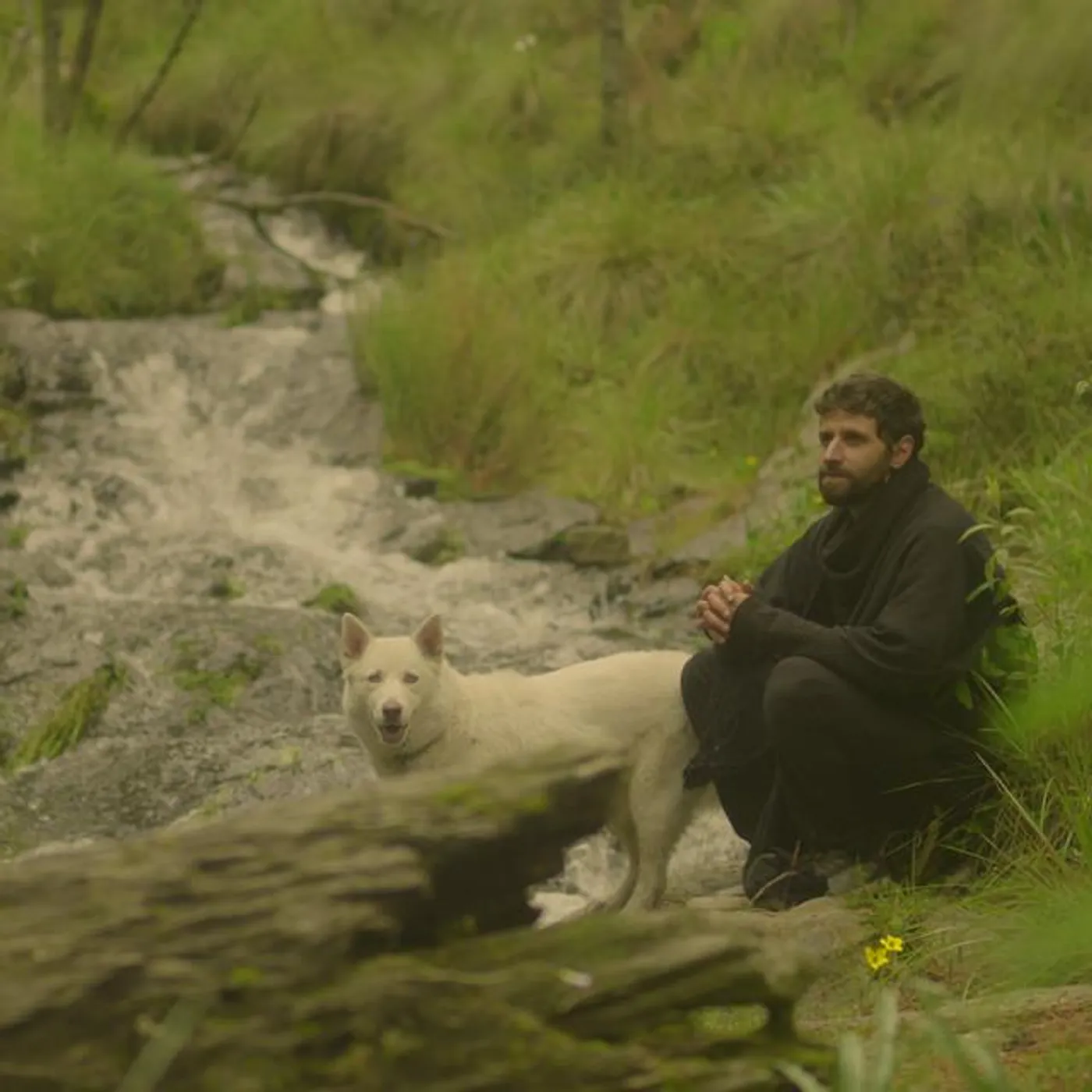 Lagartijeando Brand Page