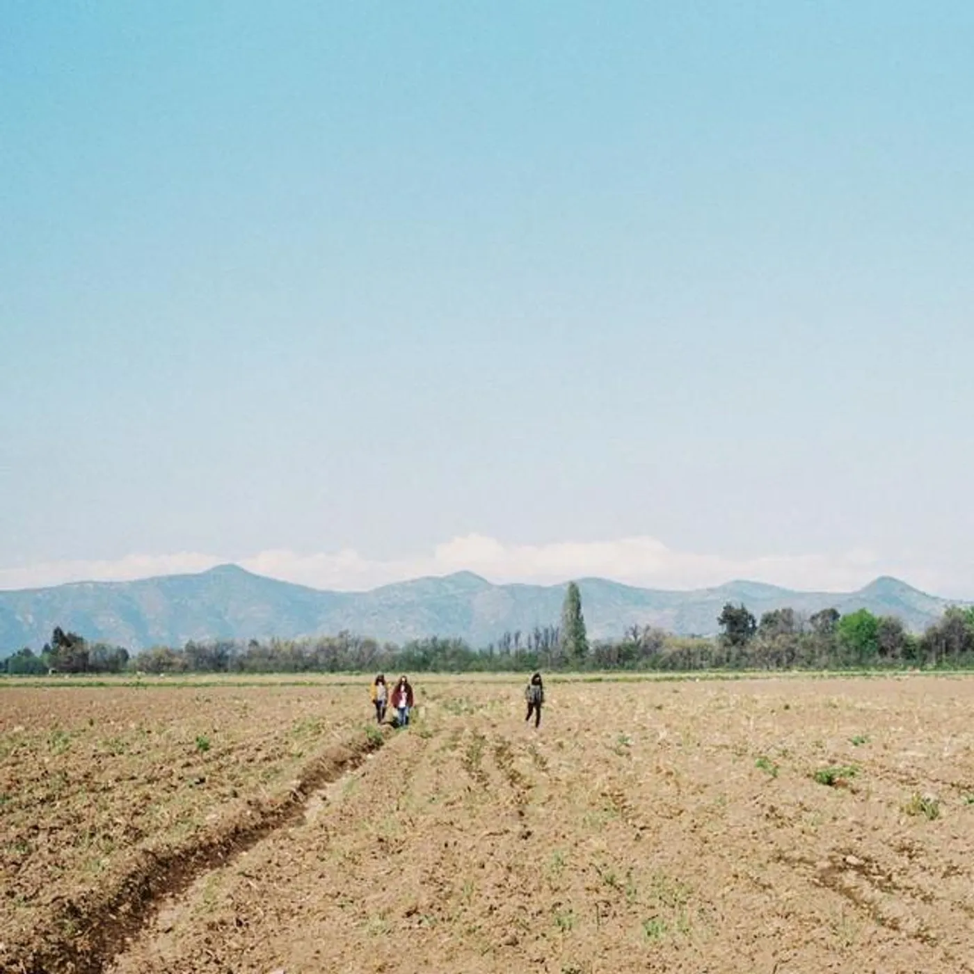 Lagunas Mentales Brand Page