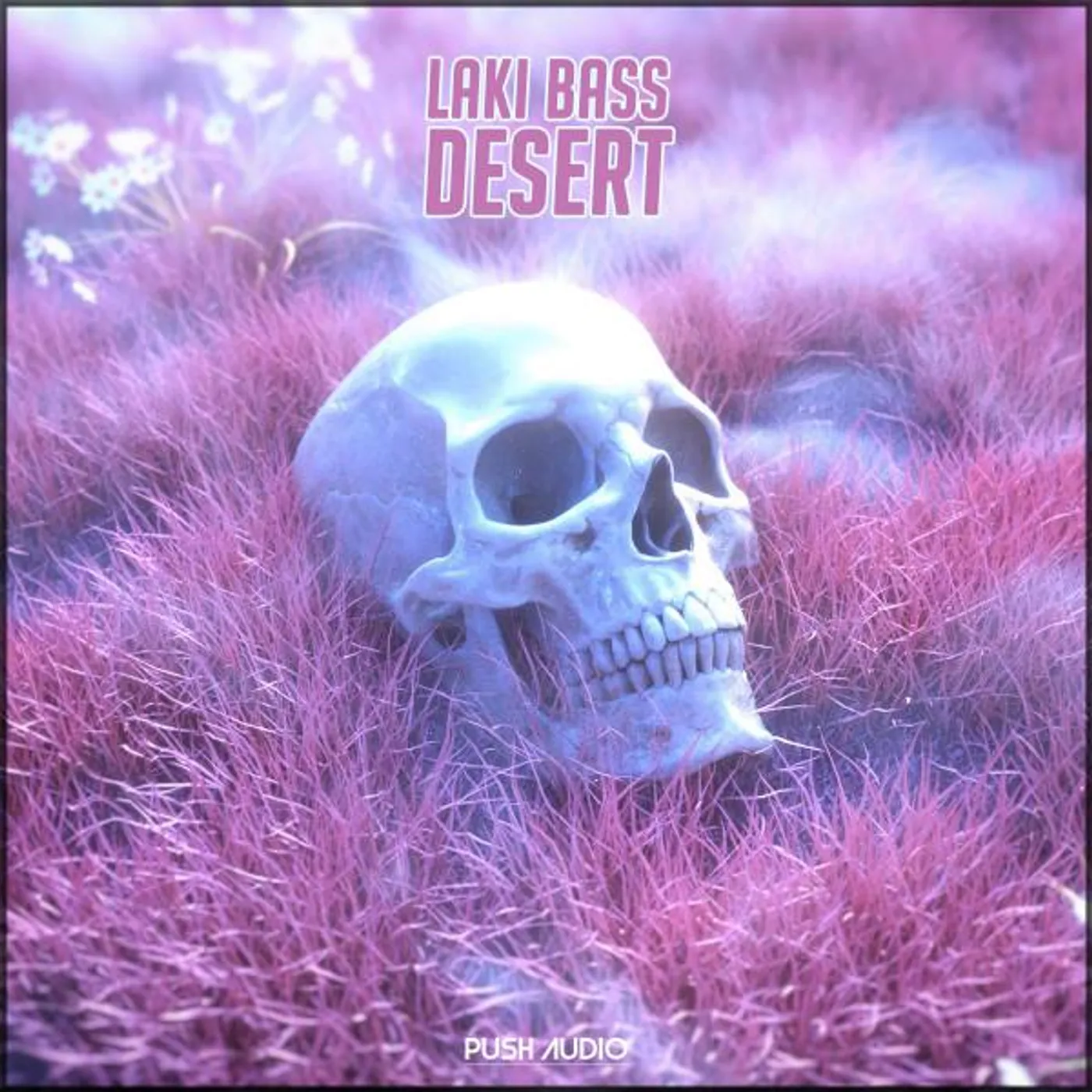 Laki Bass Brand Page