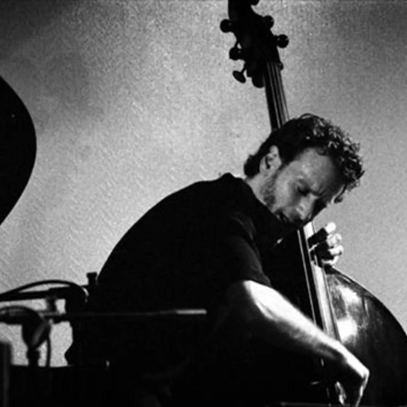 Larry Grenadier Brand Page