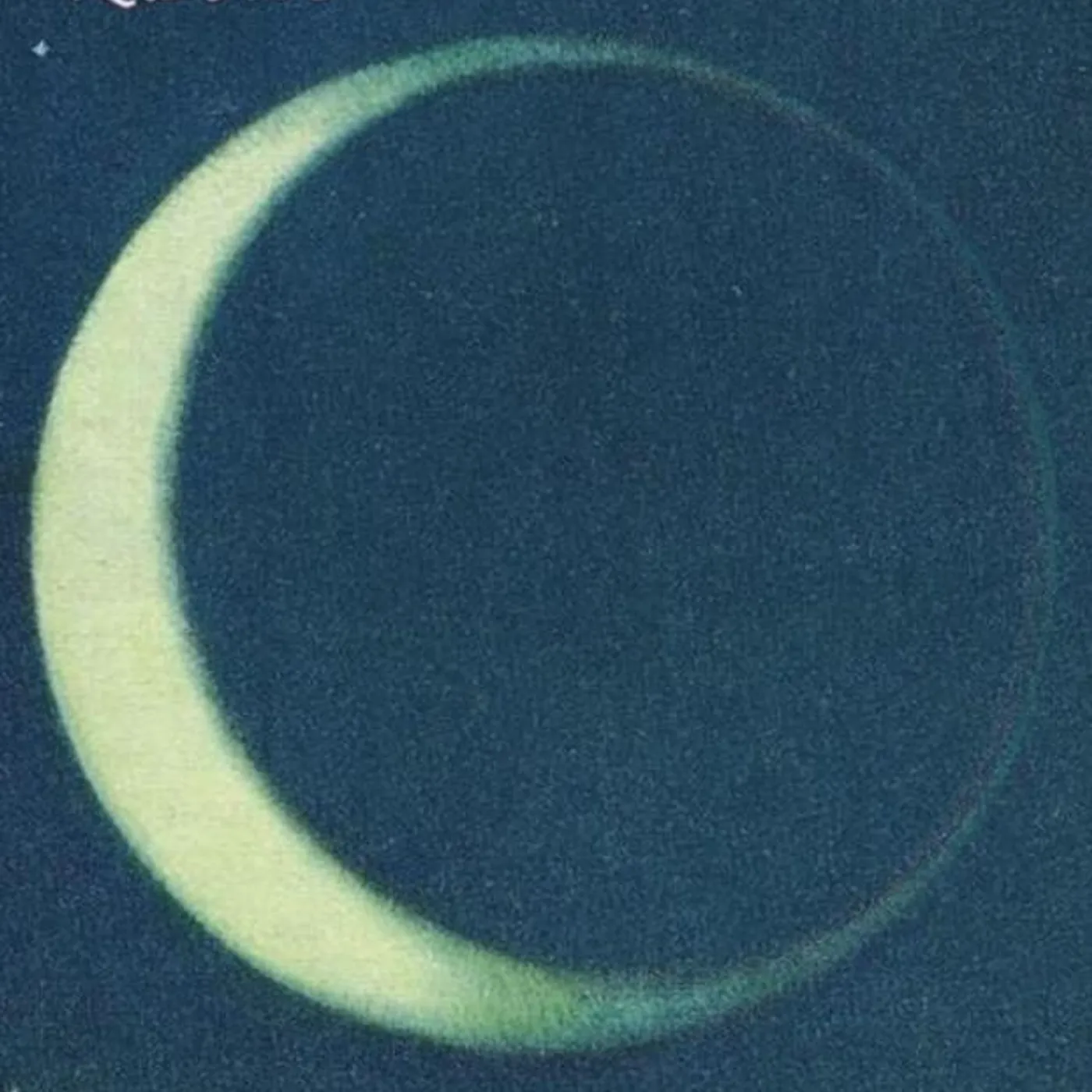 Las Rosas Brand Page