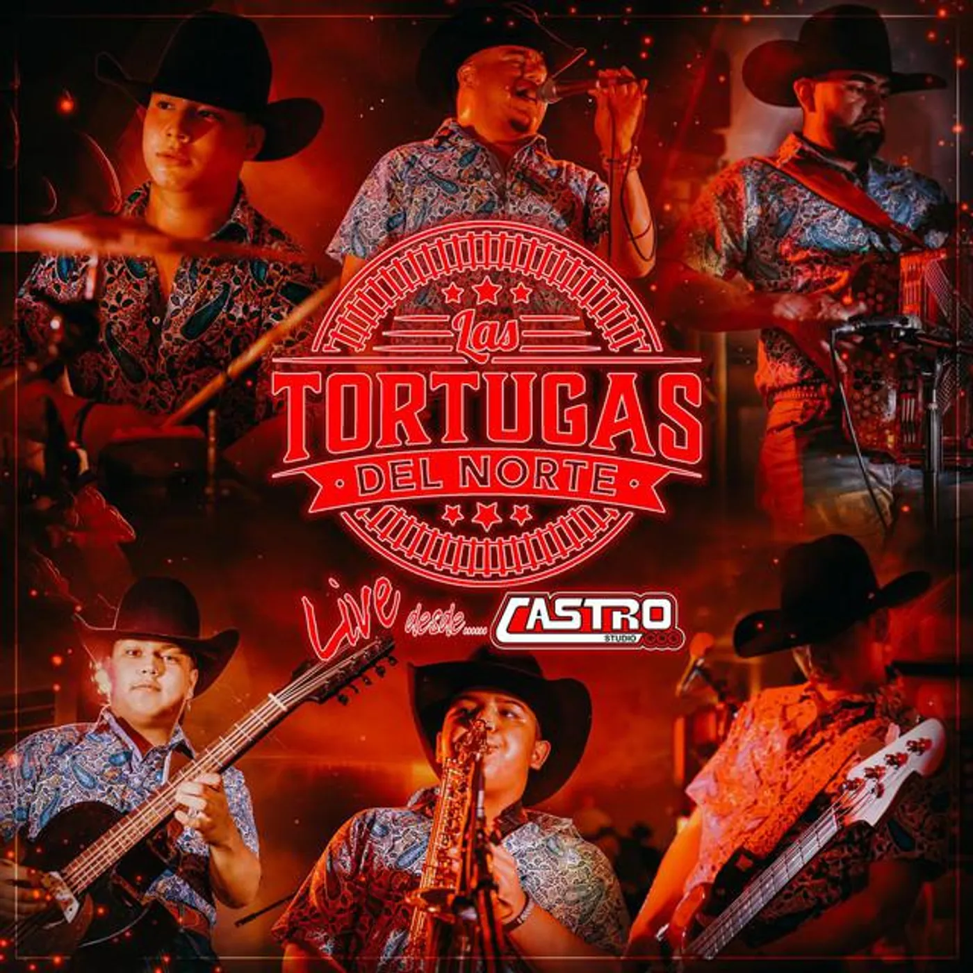 Las Tortugas Del Norte