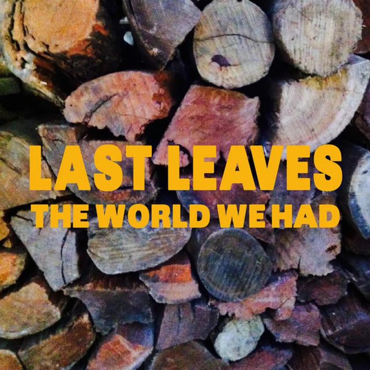 Last Leaves