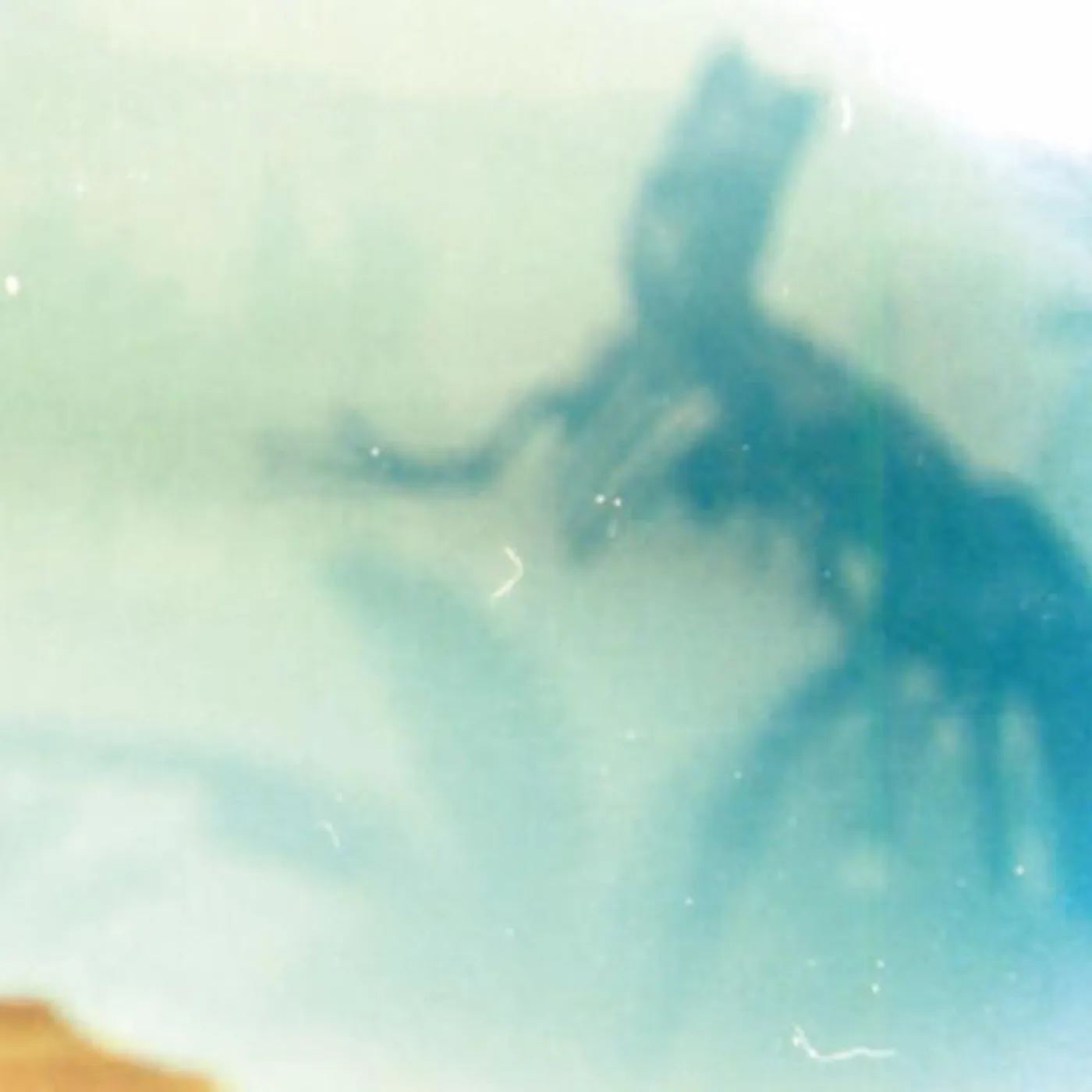 Le Case del Futuro Brand Page