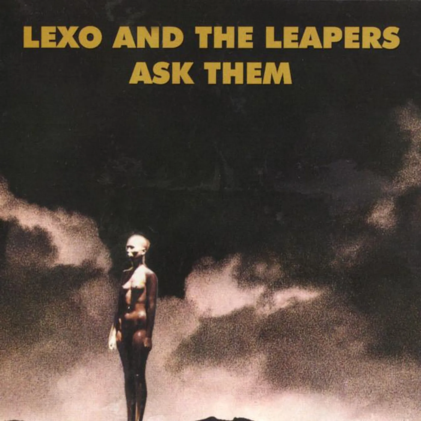 Lexo and the Leapers