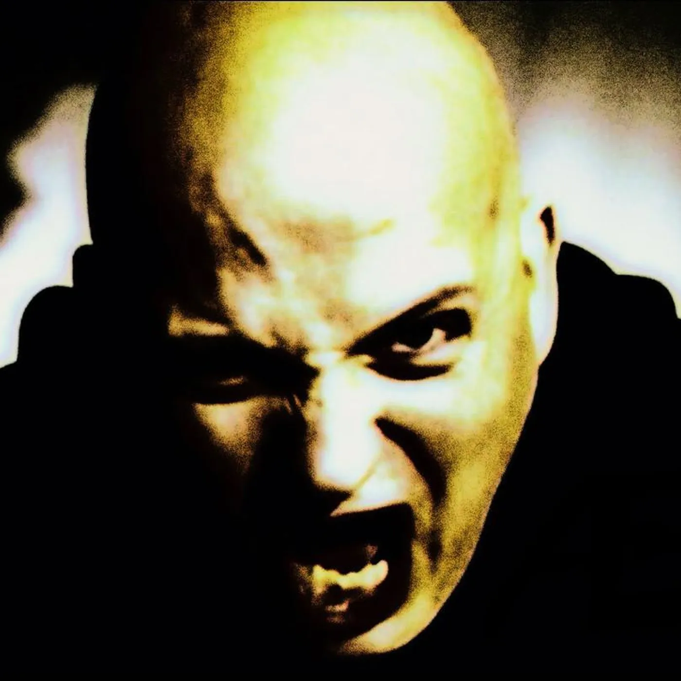 Leaether Strip Brand Page