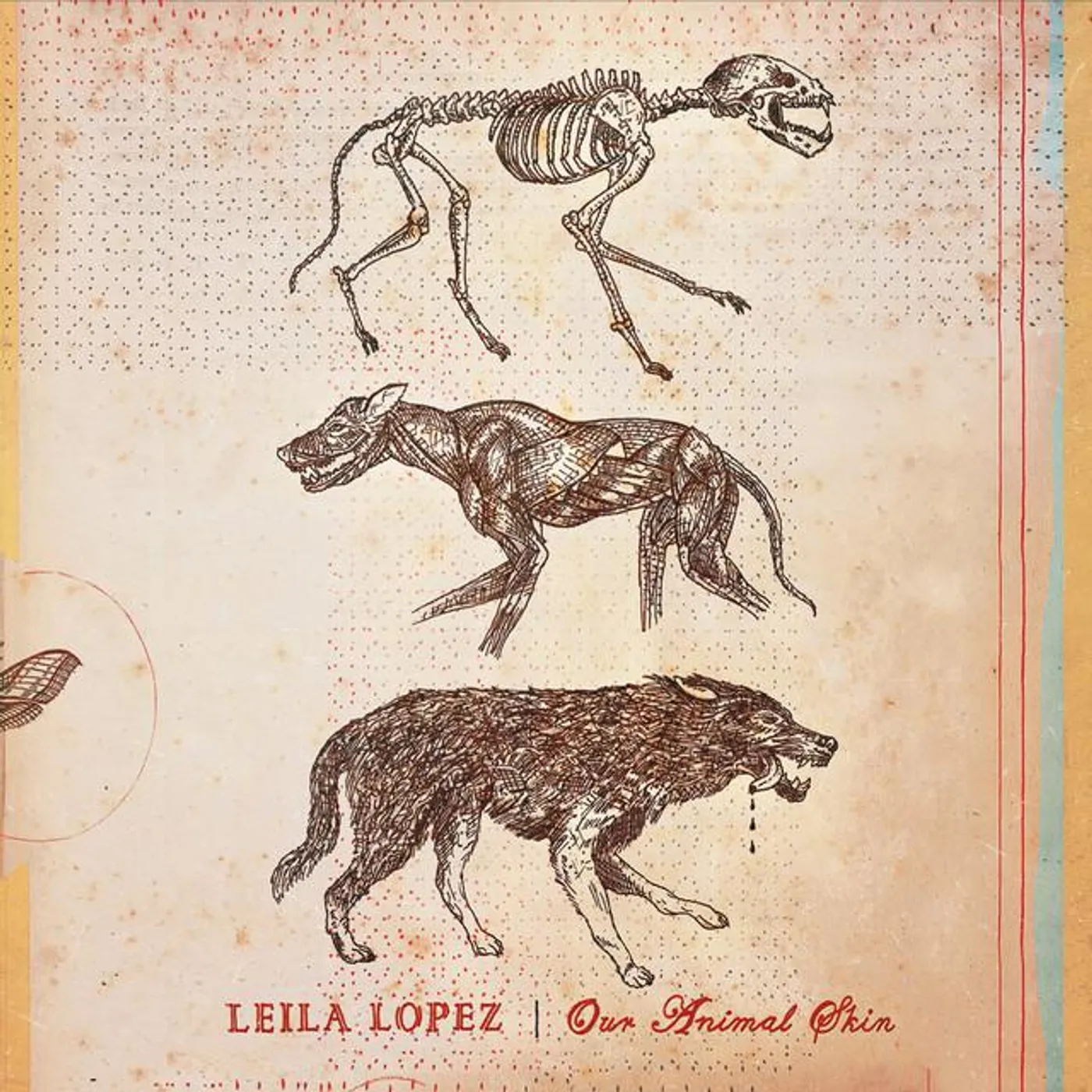 Leila Lopez Brand Page