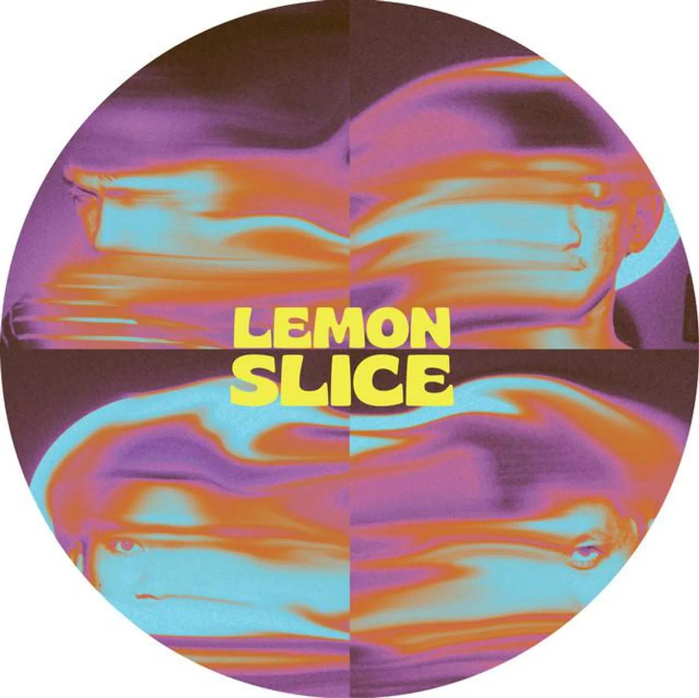 Lemon Slice