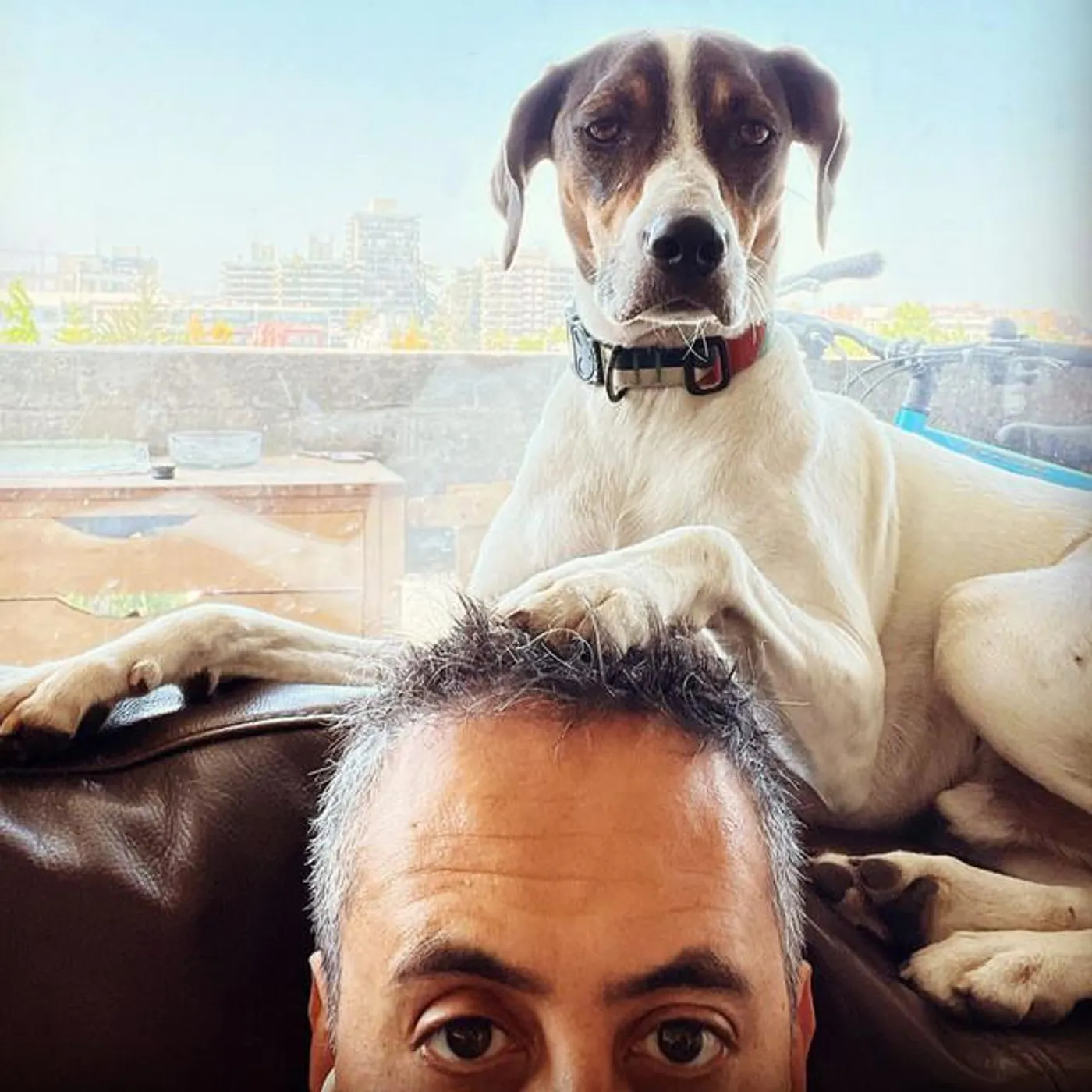 Leo Quinteros Brand Page