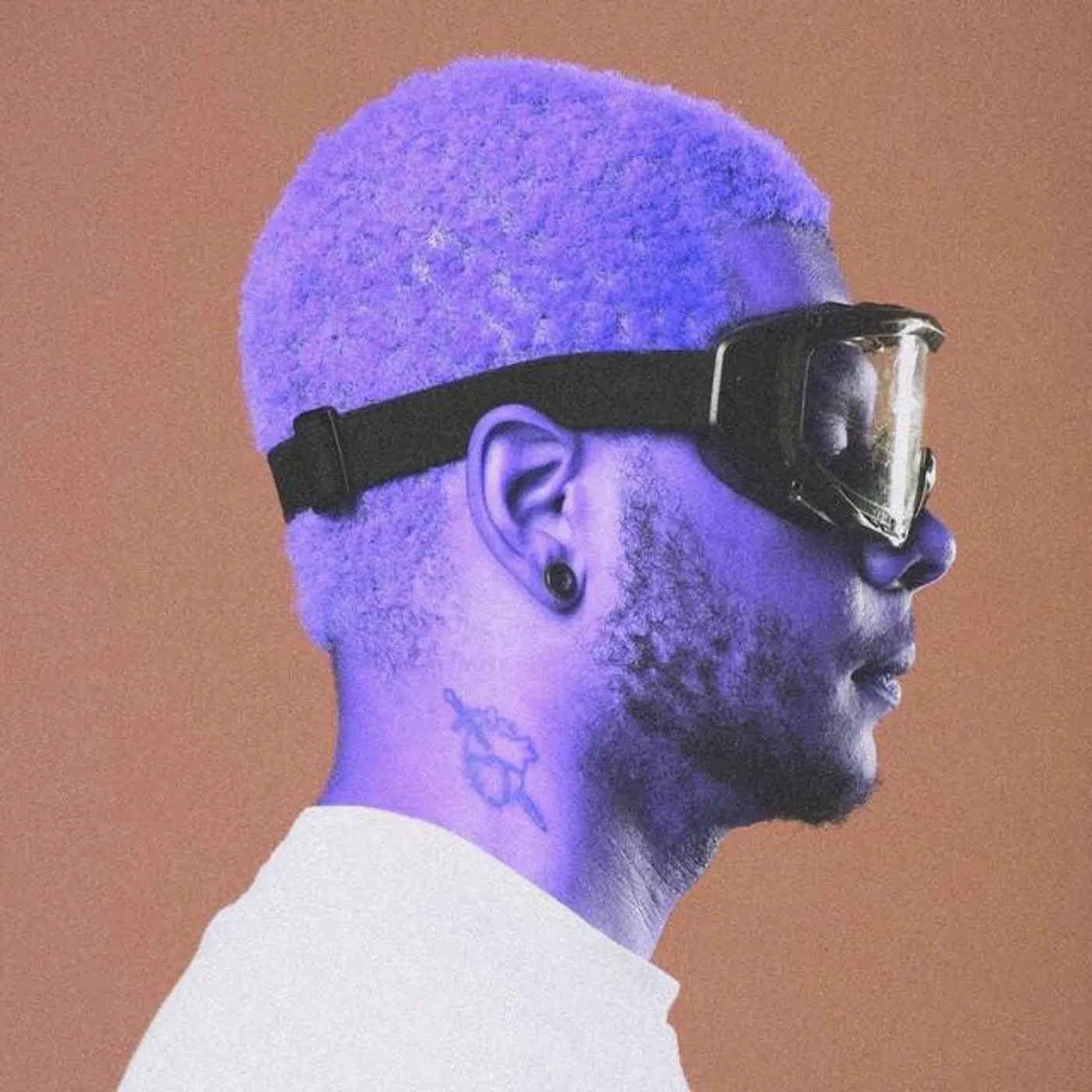 Leo The Kind Brand Page