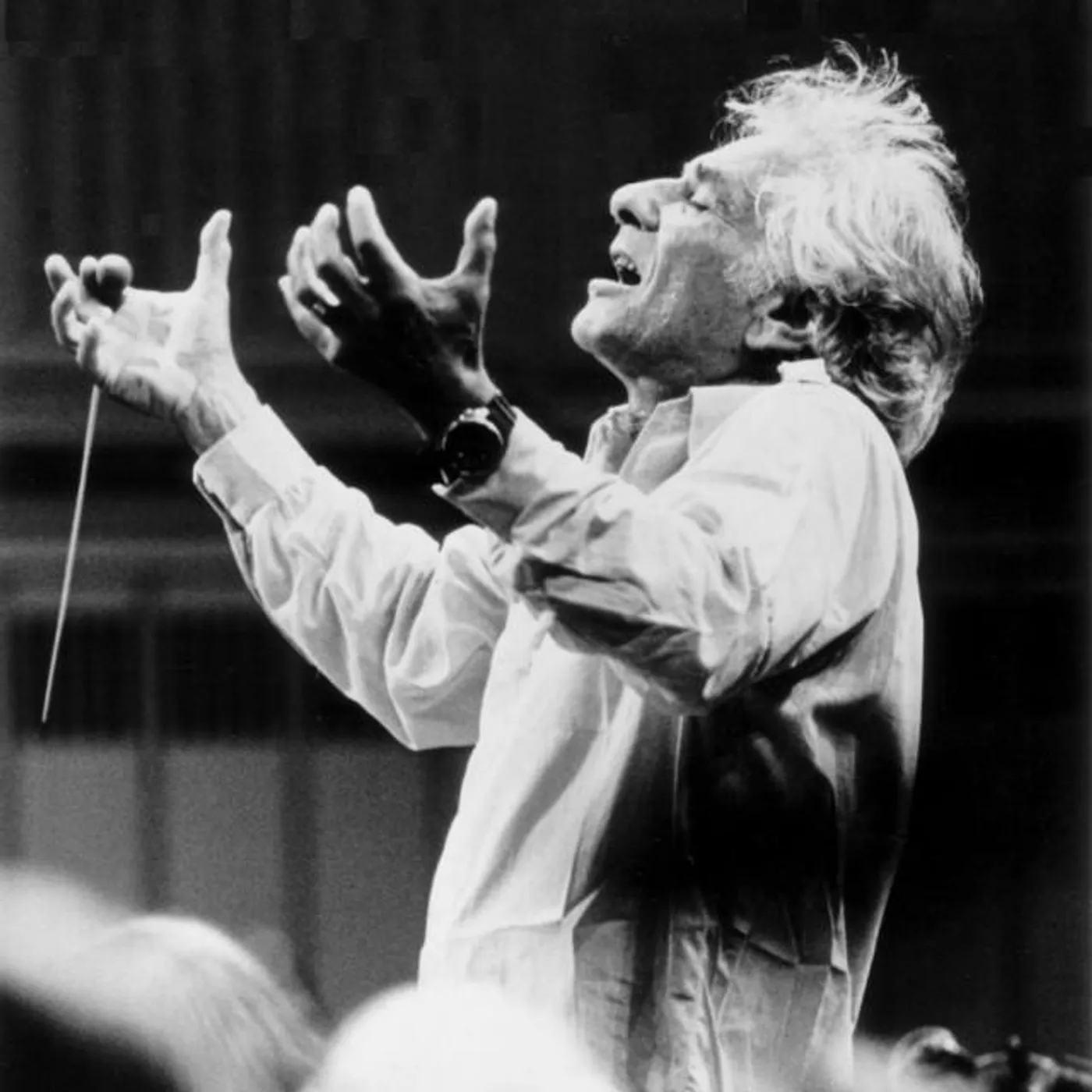 Leonard Bernstein Brand Page