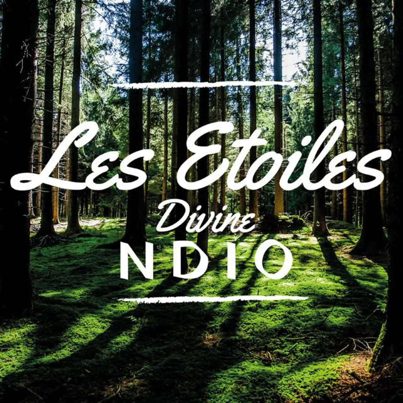 Les Etoiles Divine Brand Page