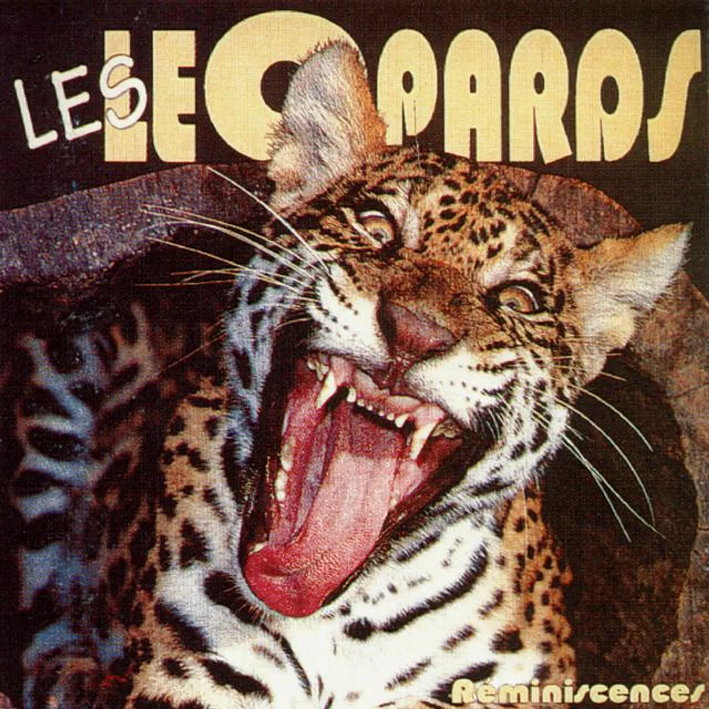 Les Leopards
