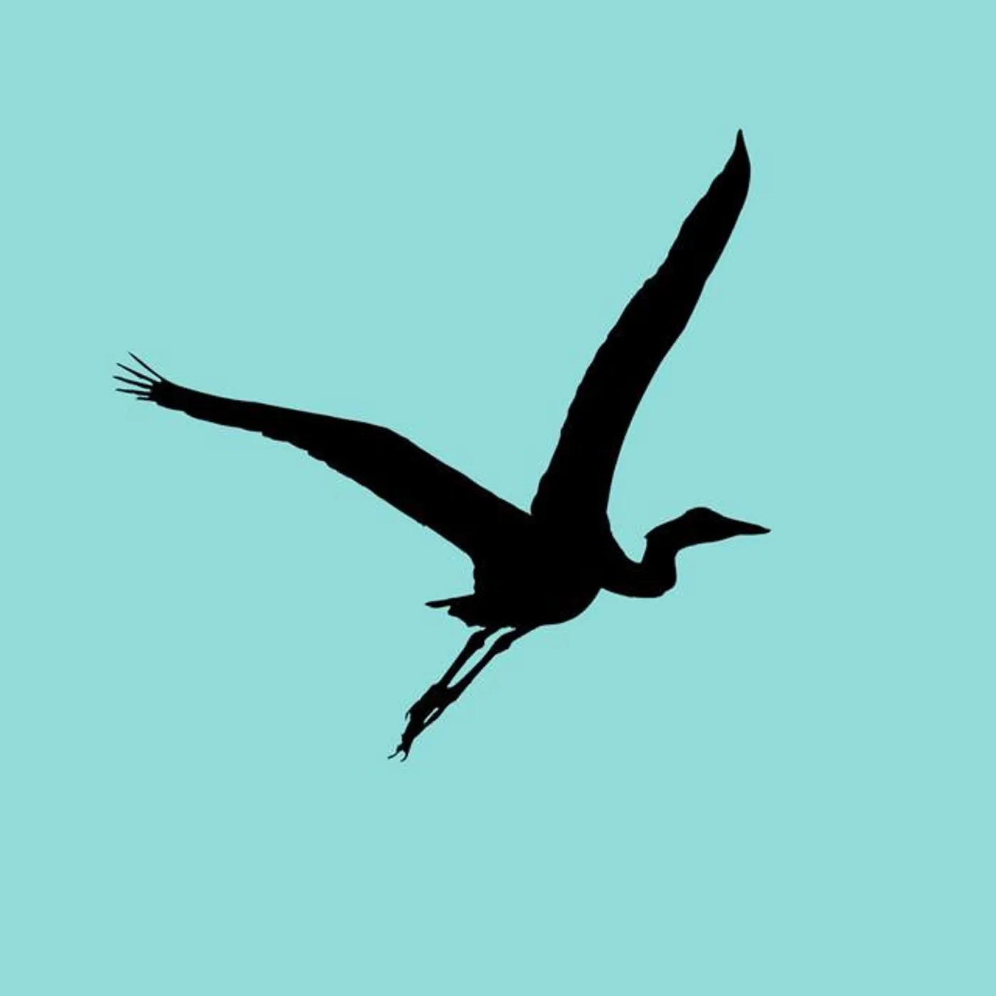 Little Bear Brand Page