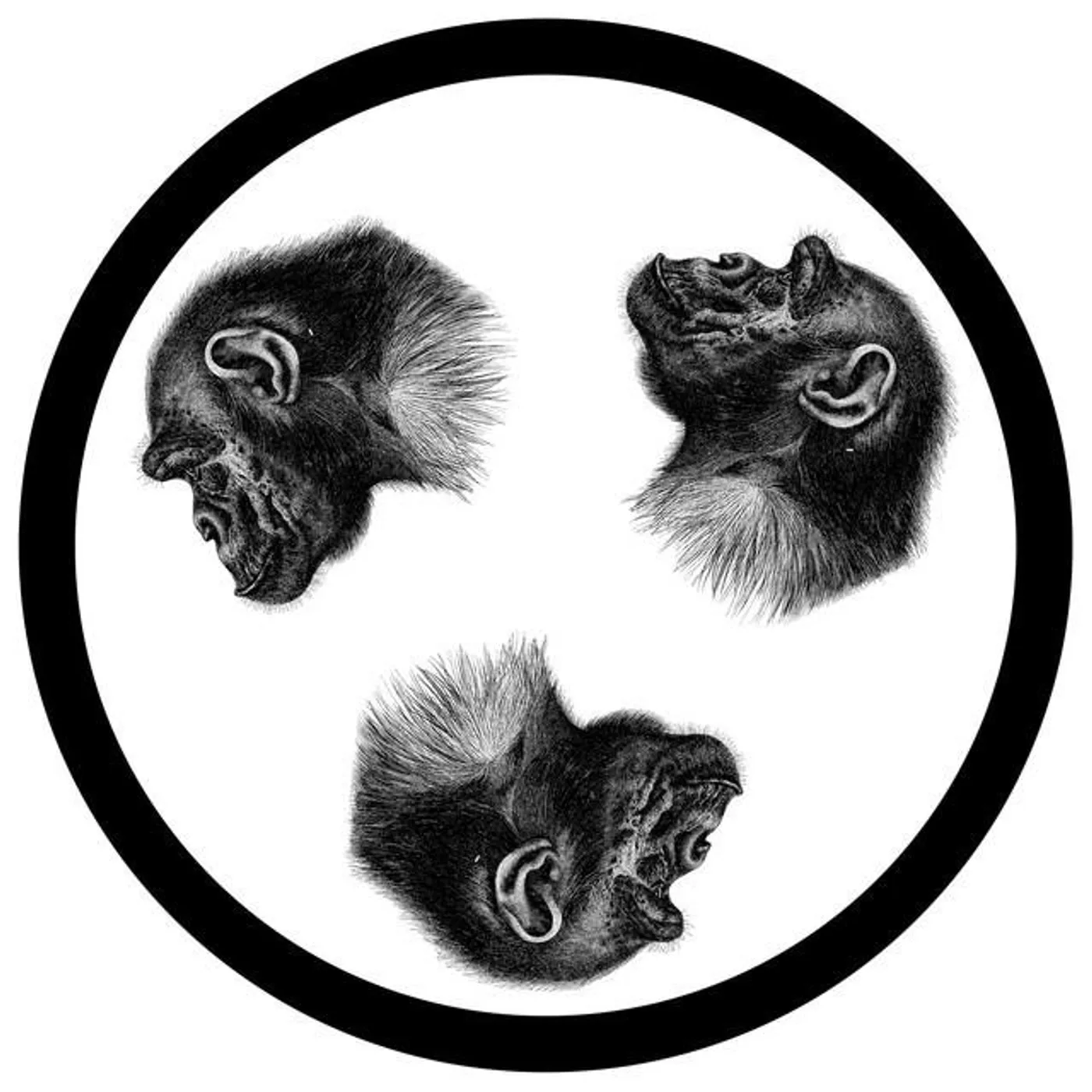 Little Big Bee Brand Page