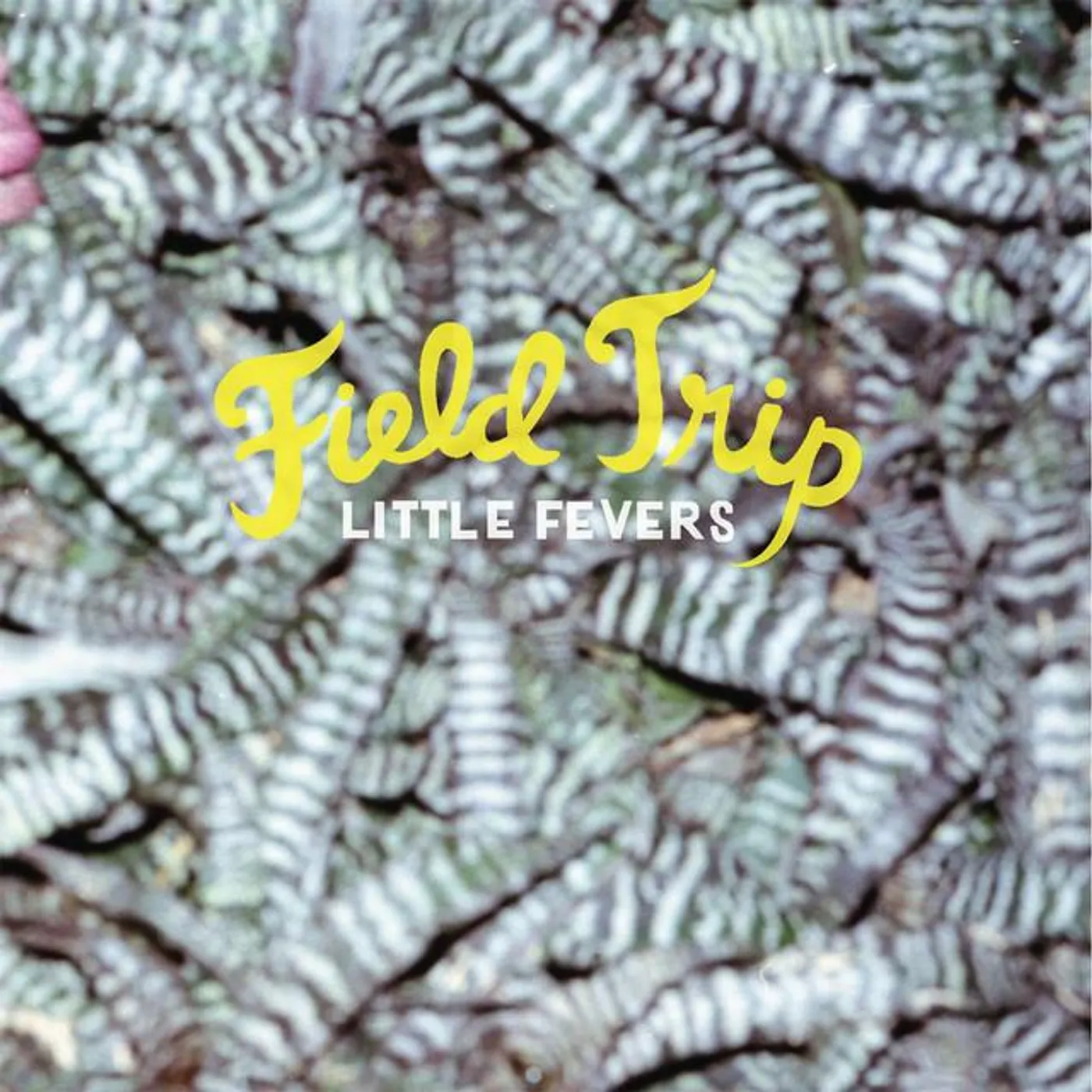 Little Fevers