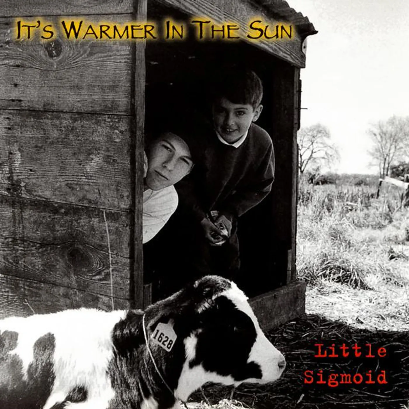 Little Sigmoid Brand Page