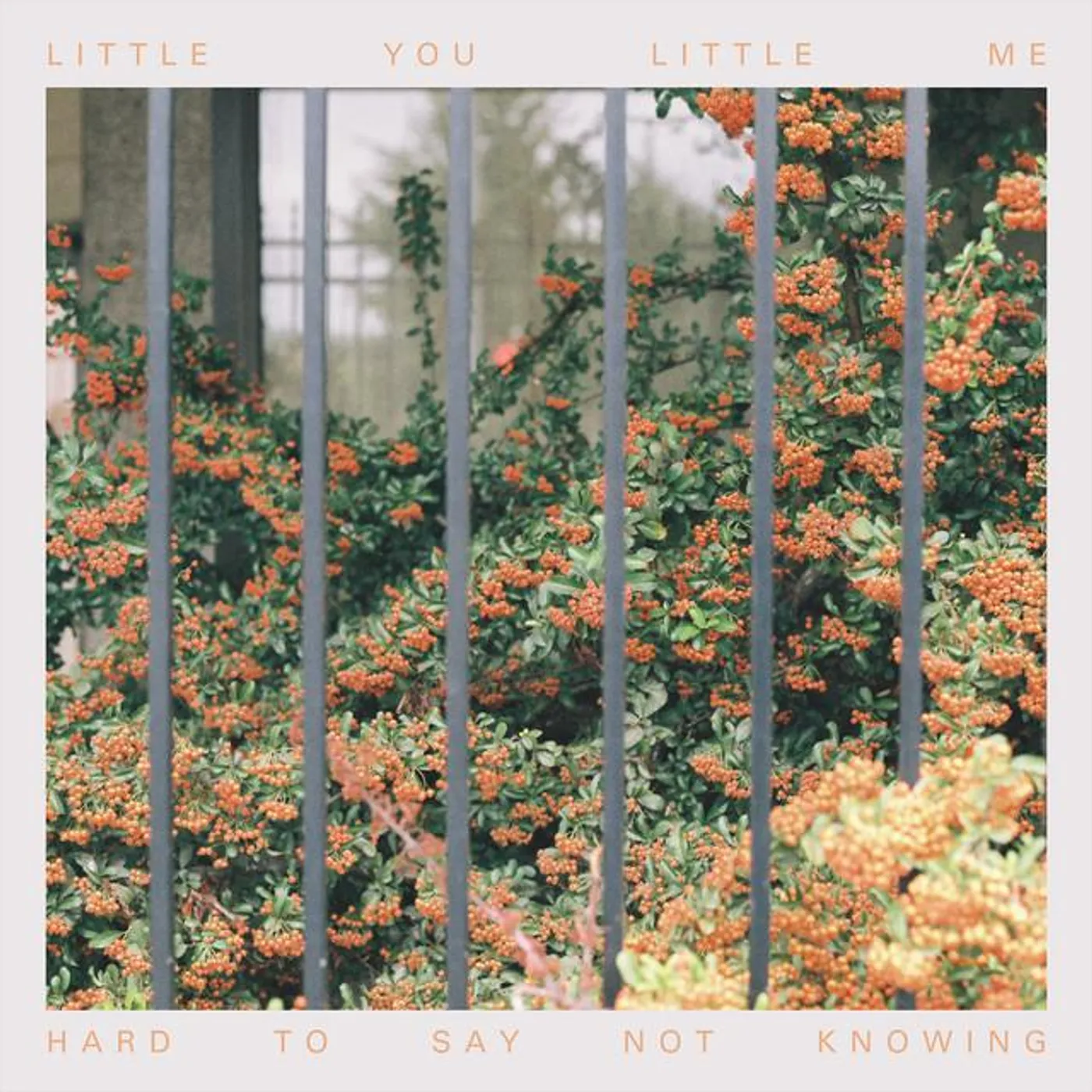 Little You, Little Me