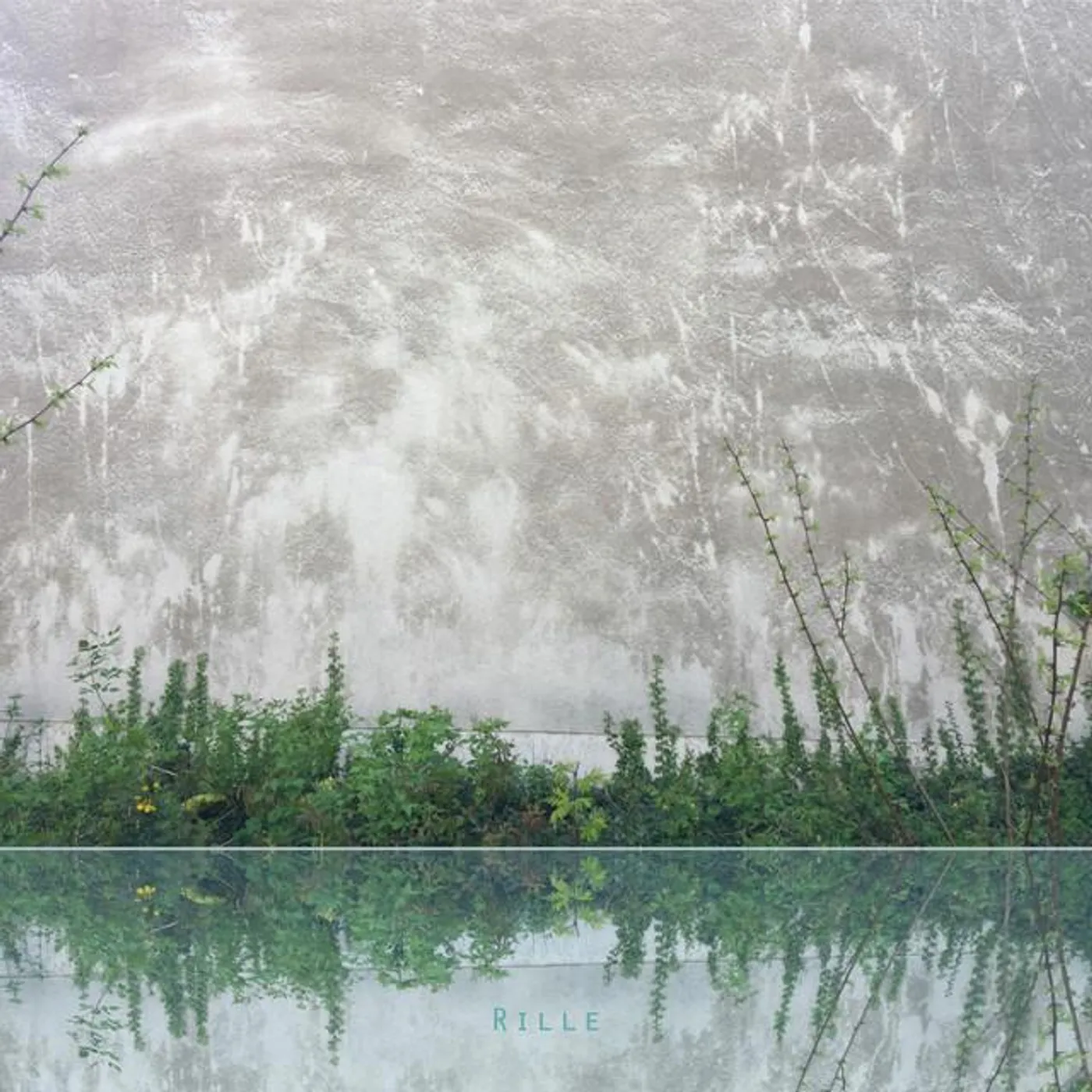 Liz Allbee Brand Page