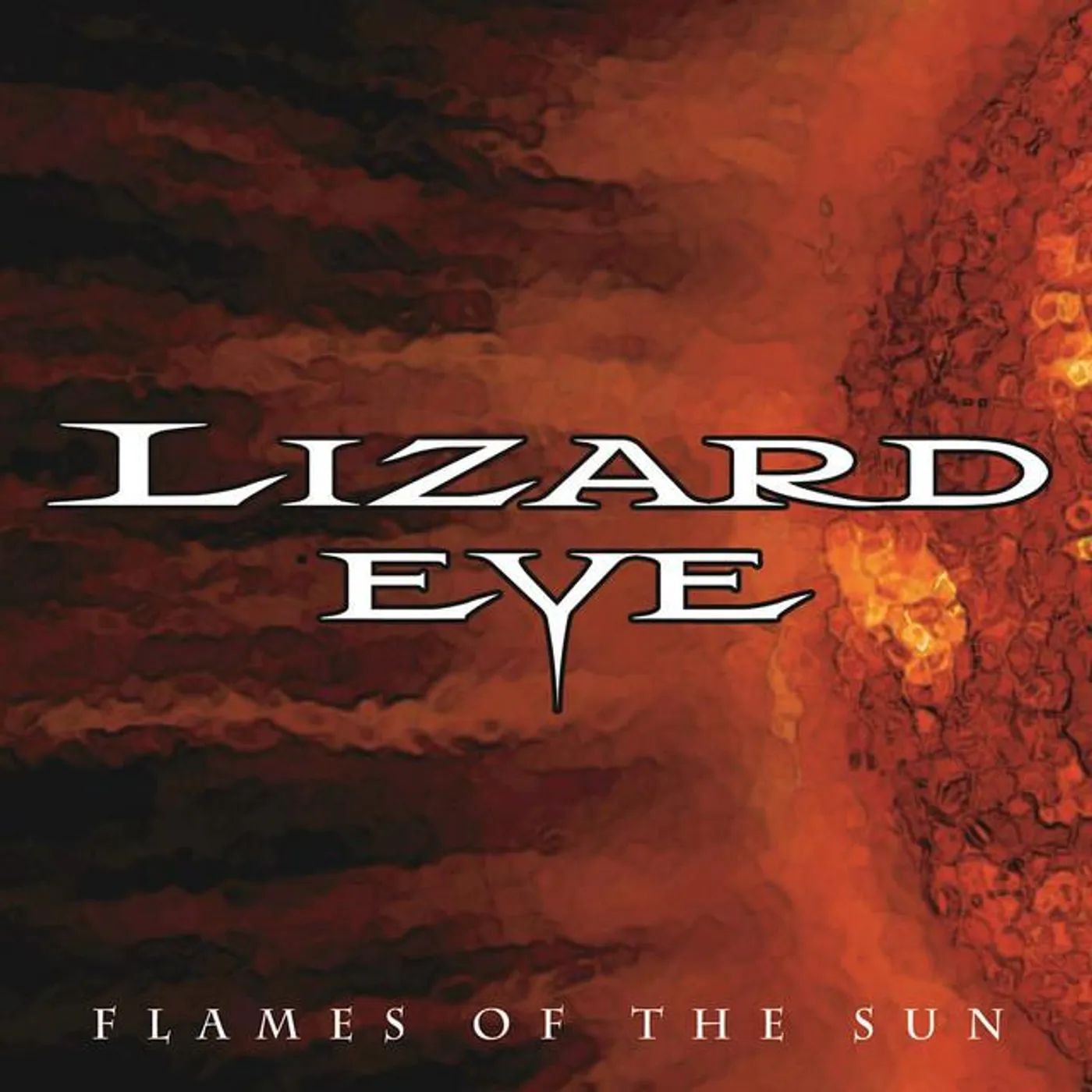 Lizard Eye Brand Page