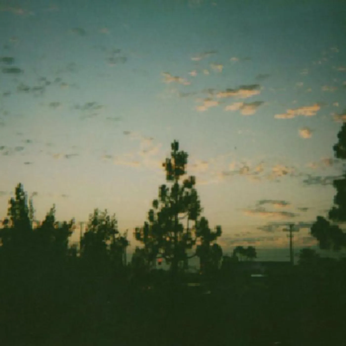 Lizards Have Personalities