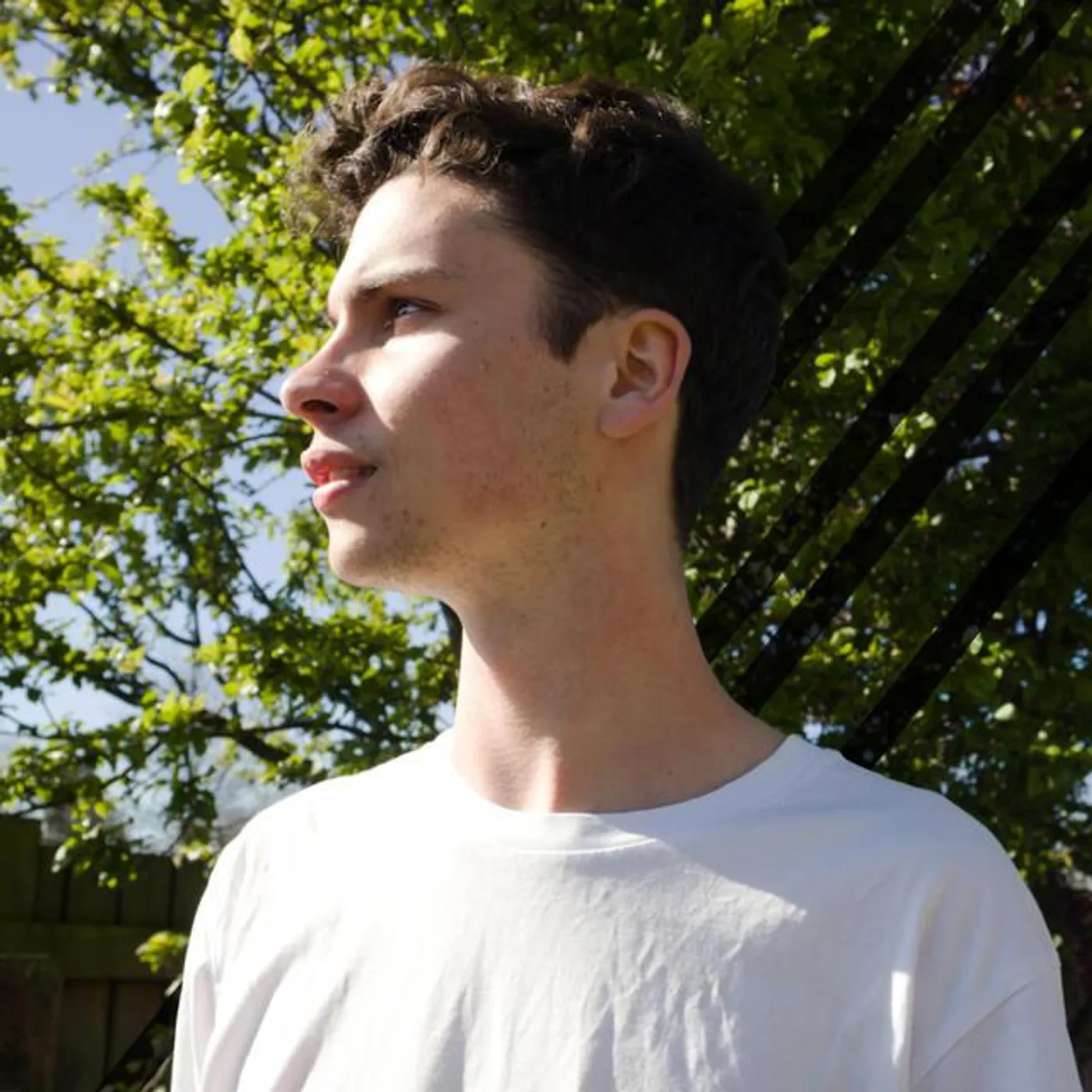 Liam Chessum Brand Page