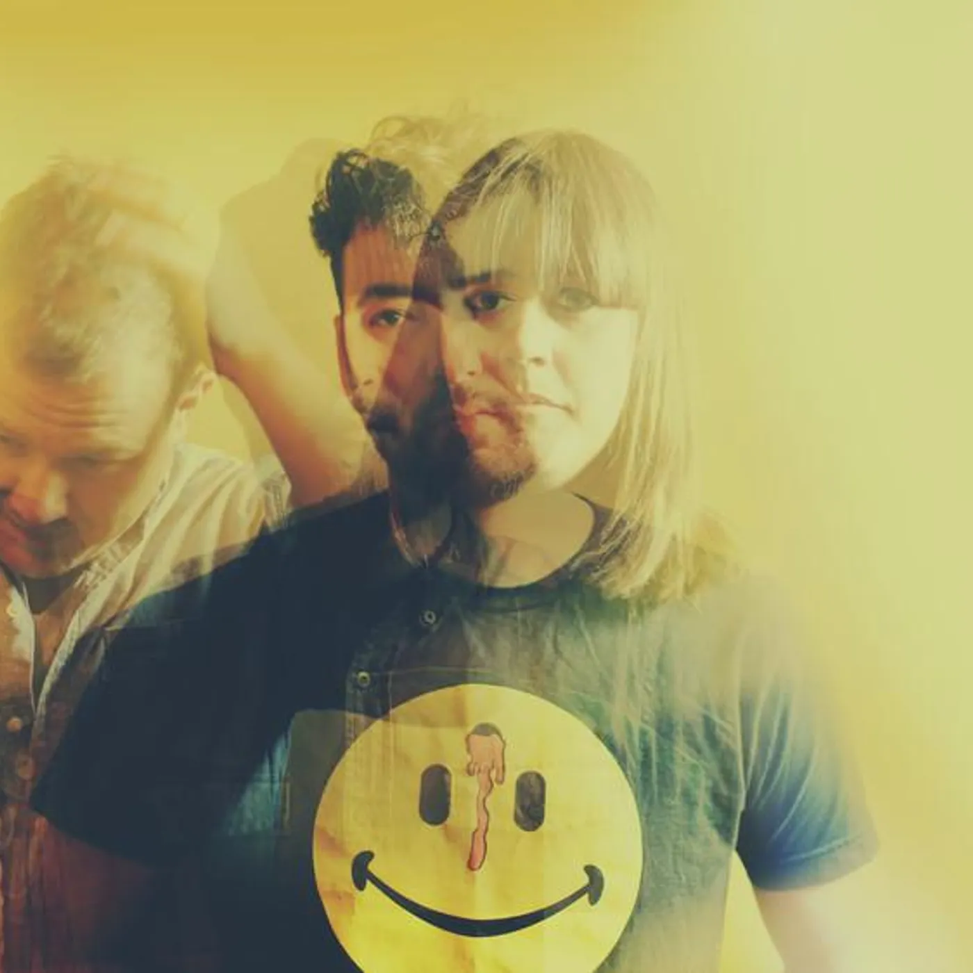 Library Voices Brand Page