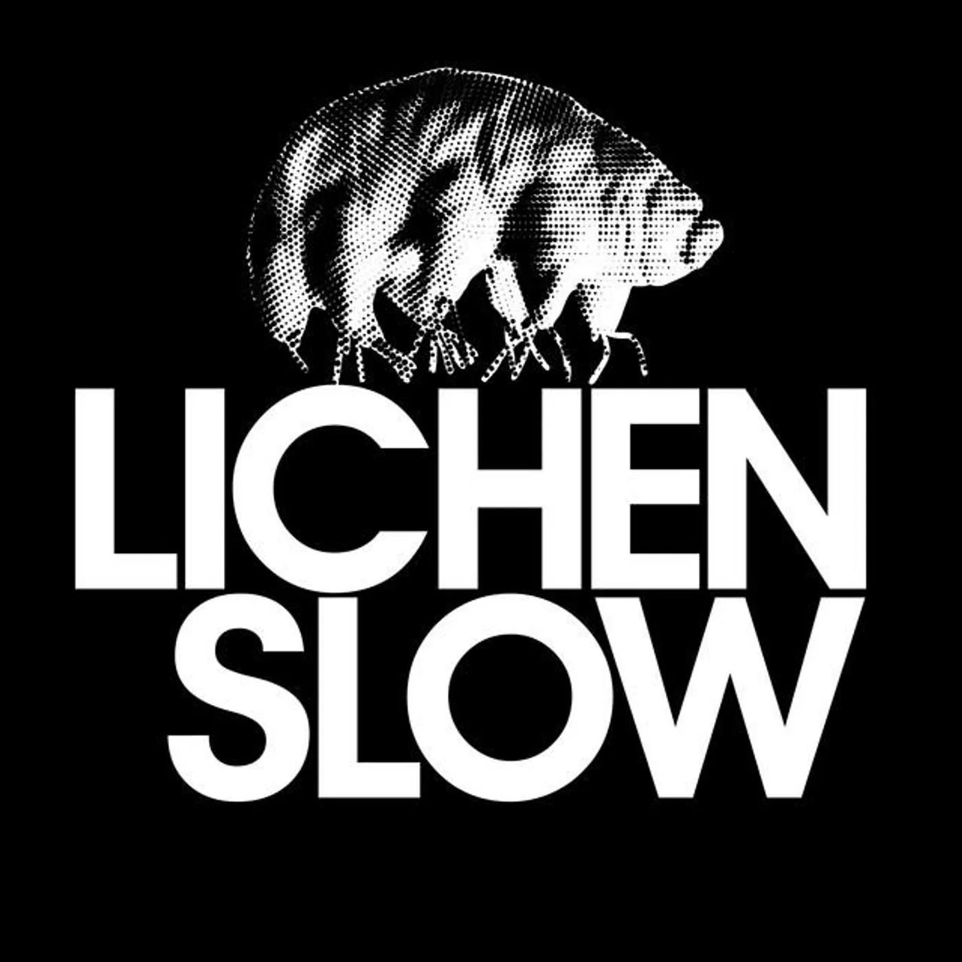 Lichen Slow Brand Page