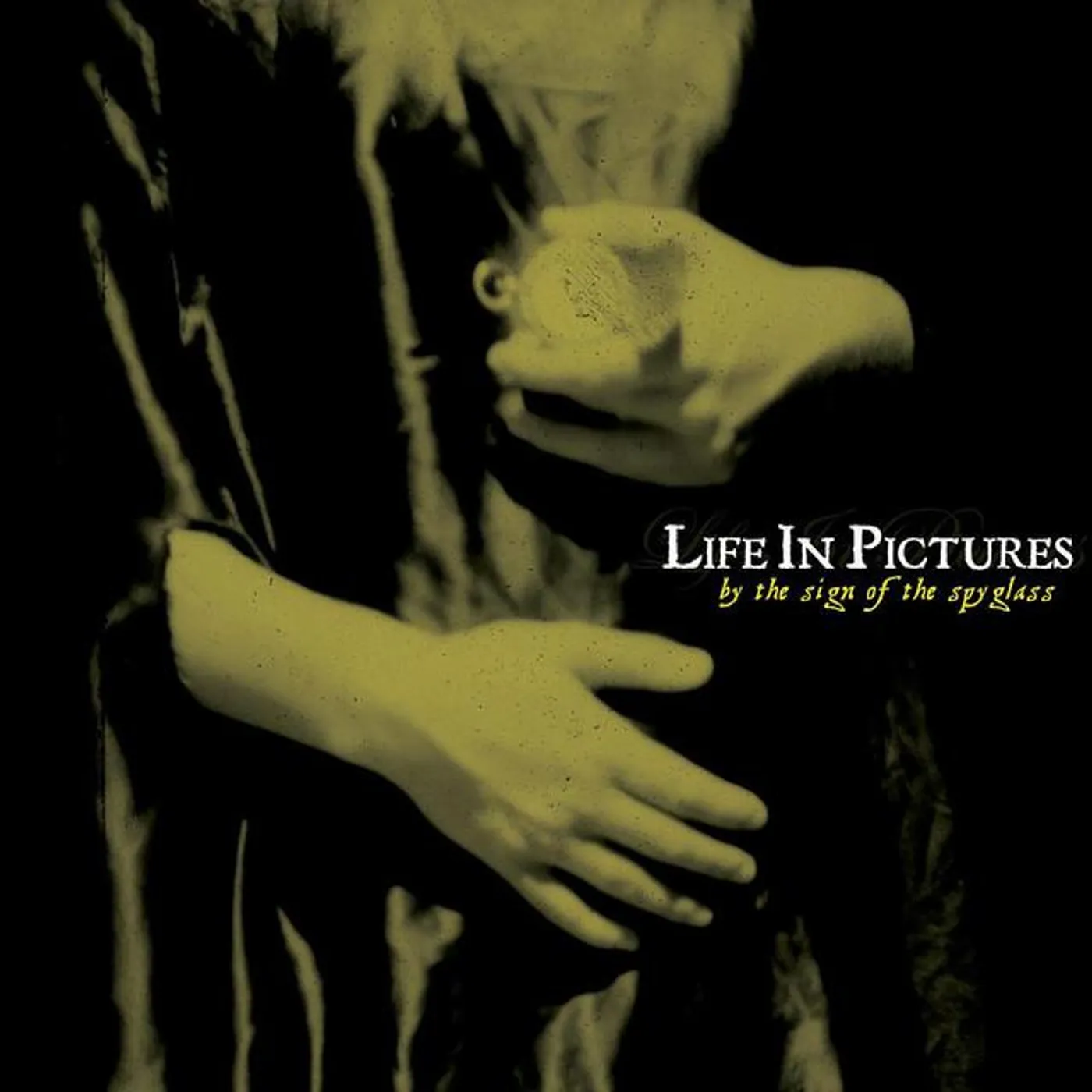 Life In Pictures Brand Page