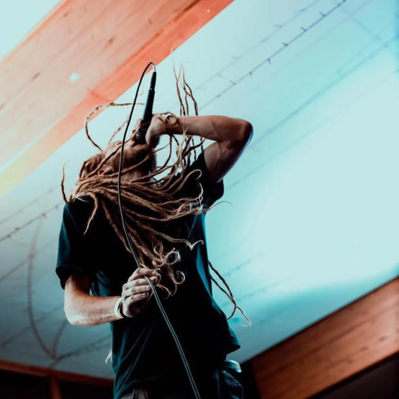 Life Pilot Brand Page