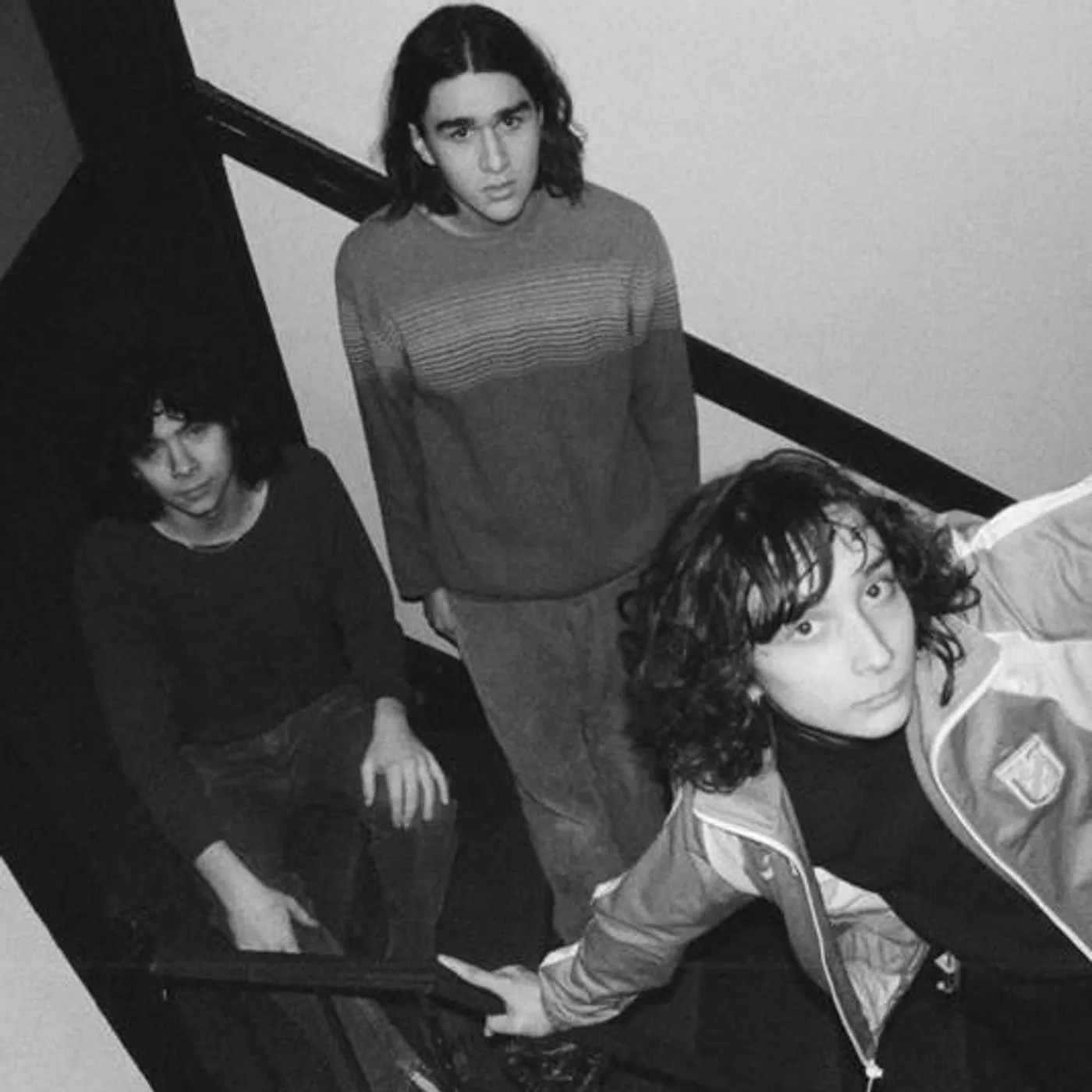 Lifeguard Brand Page