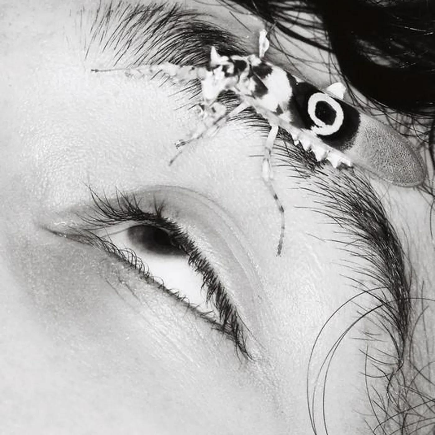 LIL DUSTY G Brand Page