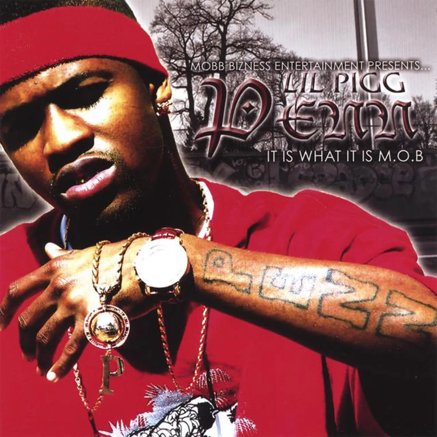 Lil Pigg Penn Brand Page