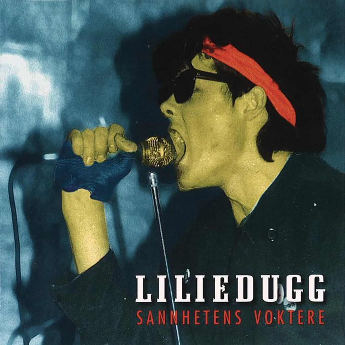 Liliedugg Brand Page