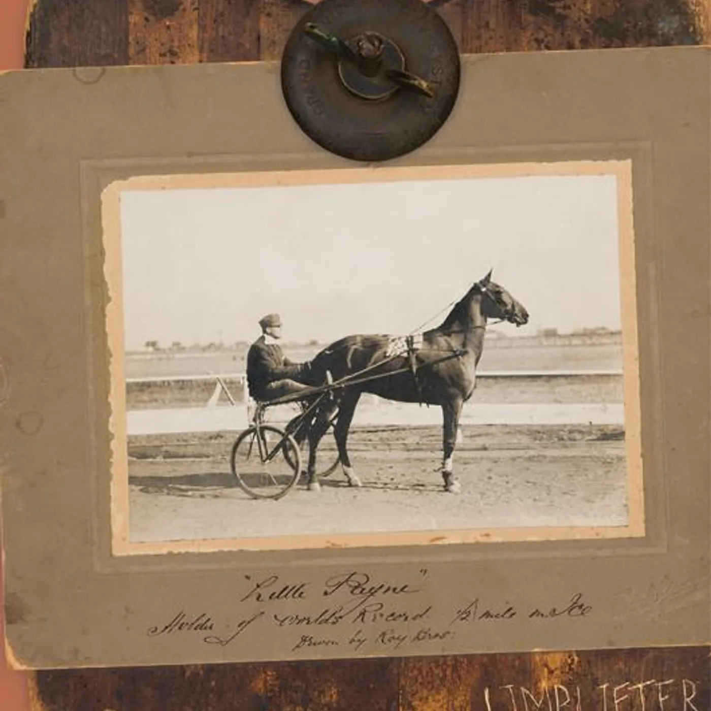 Limblifter Brand Page