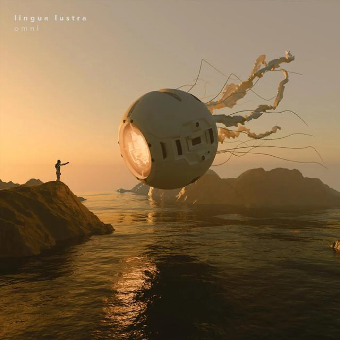 Lingua Lustra Brand Page