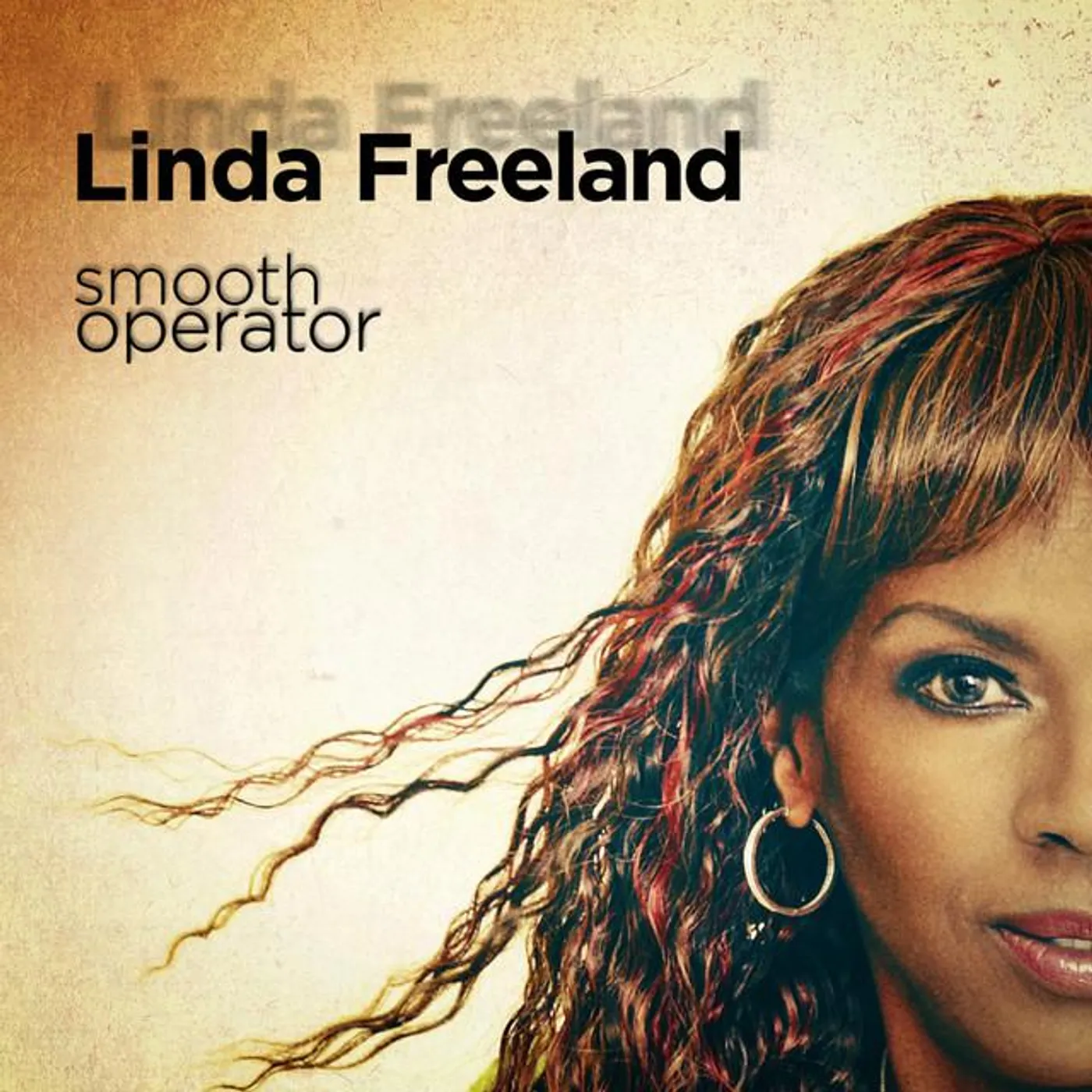 Linda Freeland Brand Page