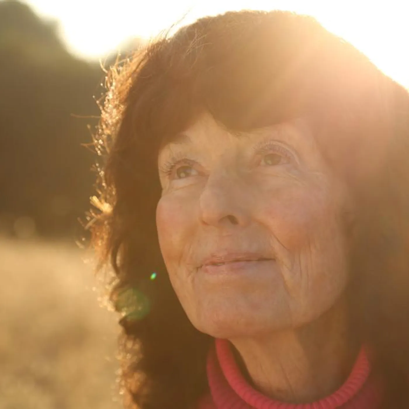 Linda Perhacs Brand Page