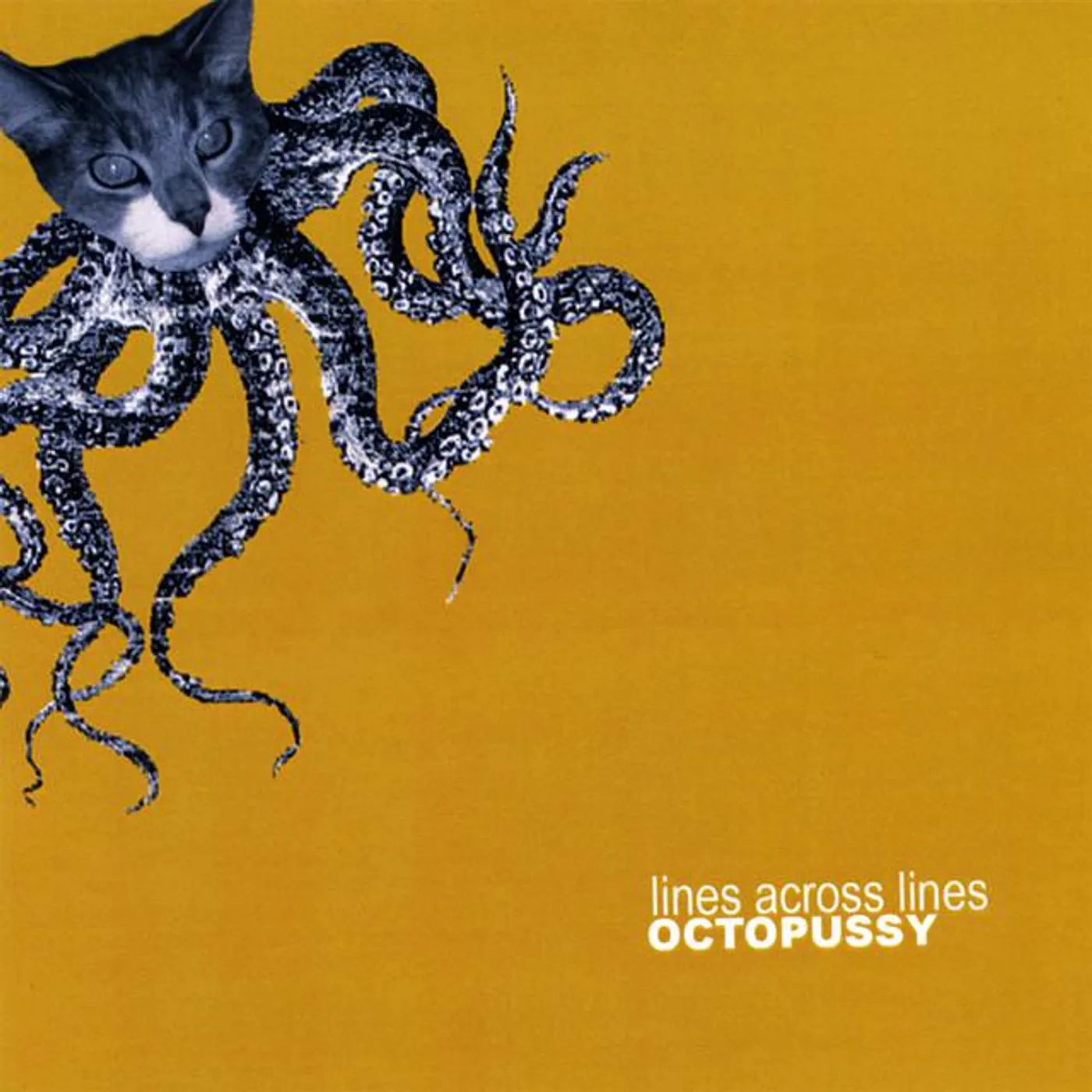 Lines Across Lines Brand Page