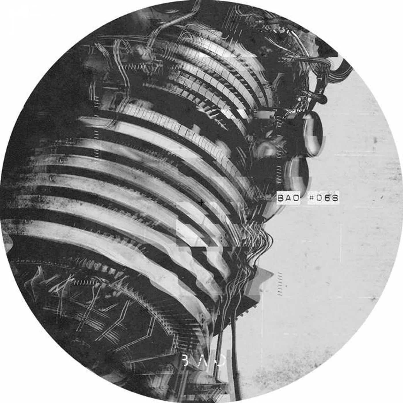 Linkan Ray Brand Page