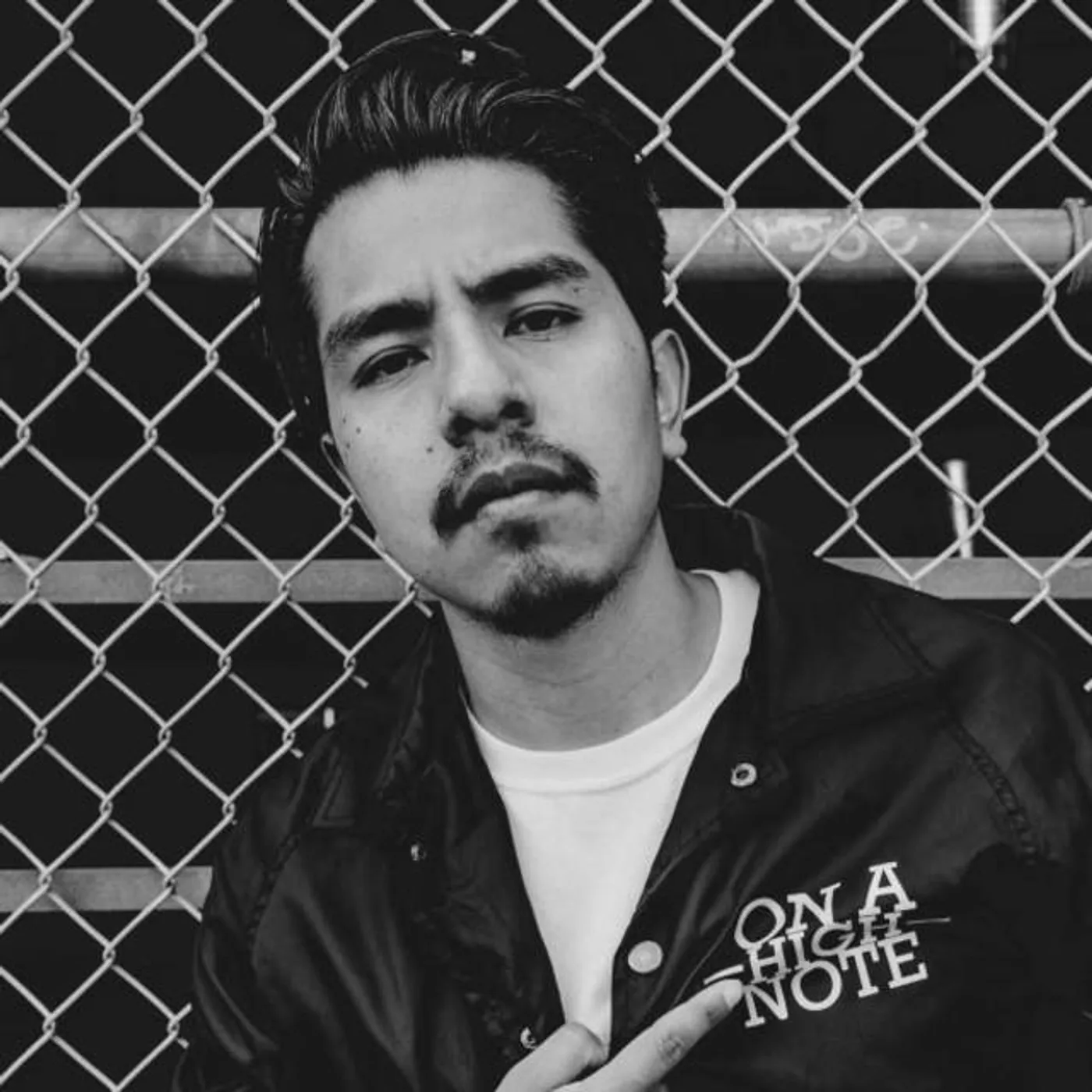 Linoskiii Brand Page