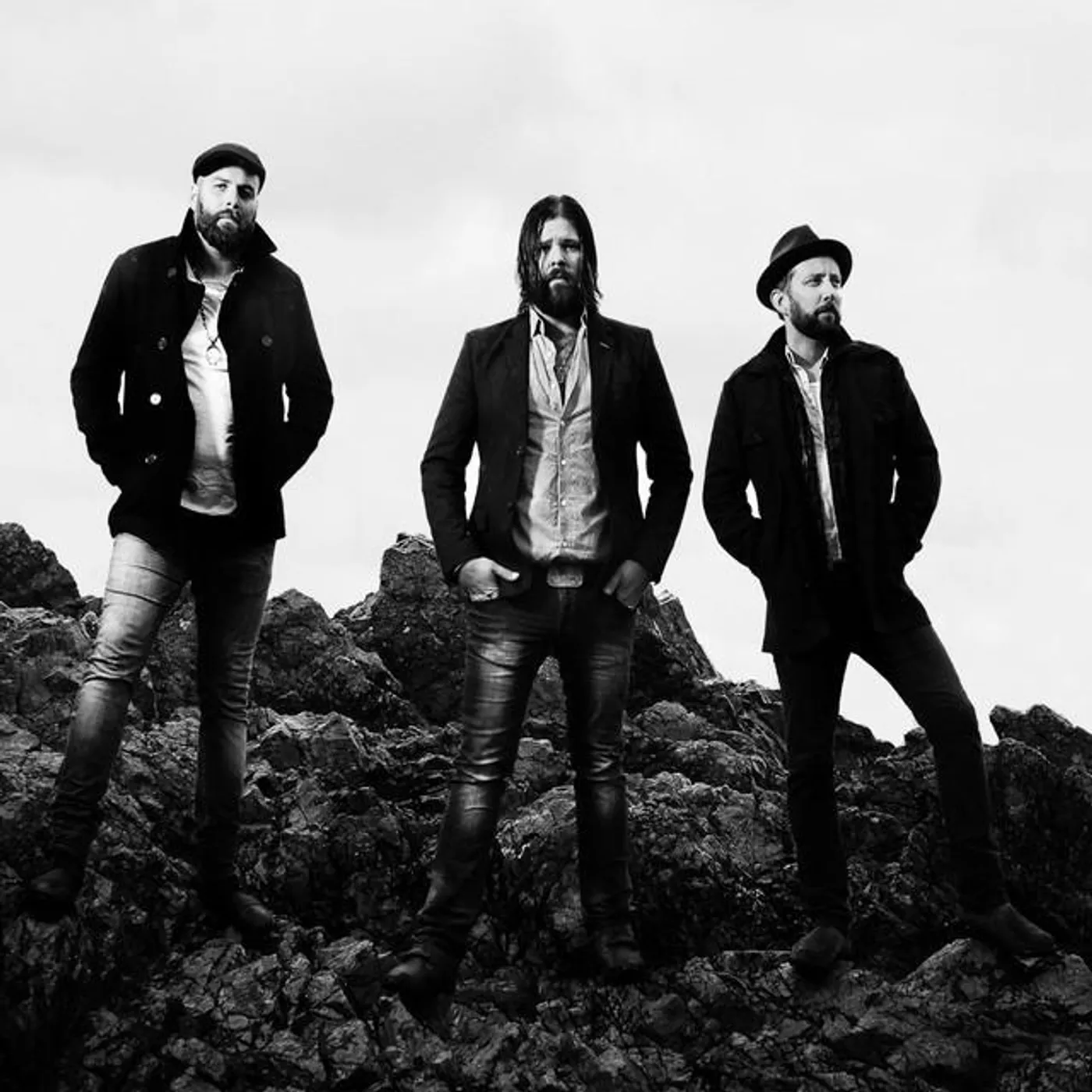 Lion Bear Fox Brand Page