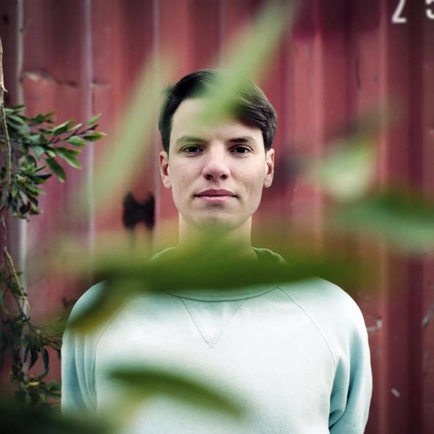 Lion's Drums Brand Page