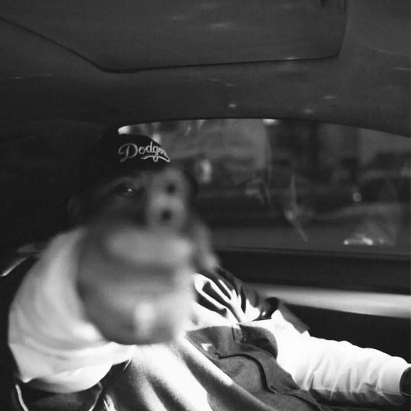 Lionheart Brand Page