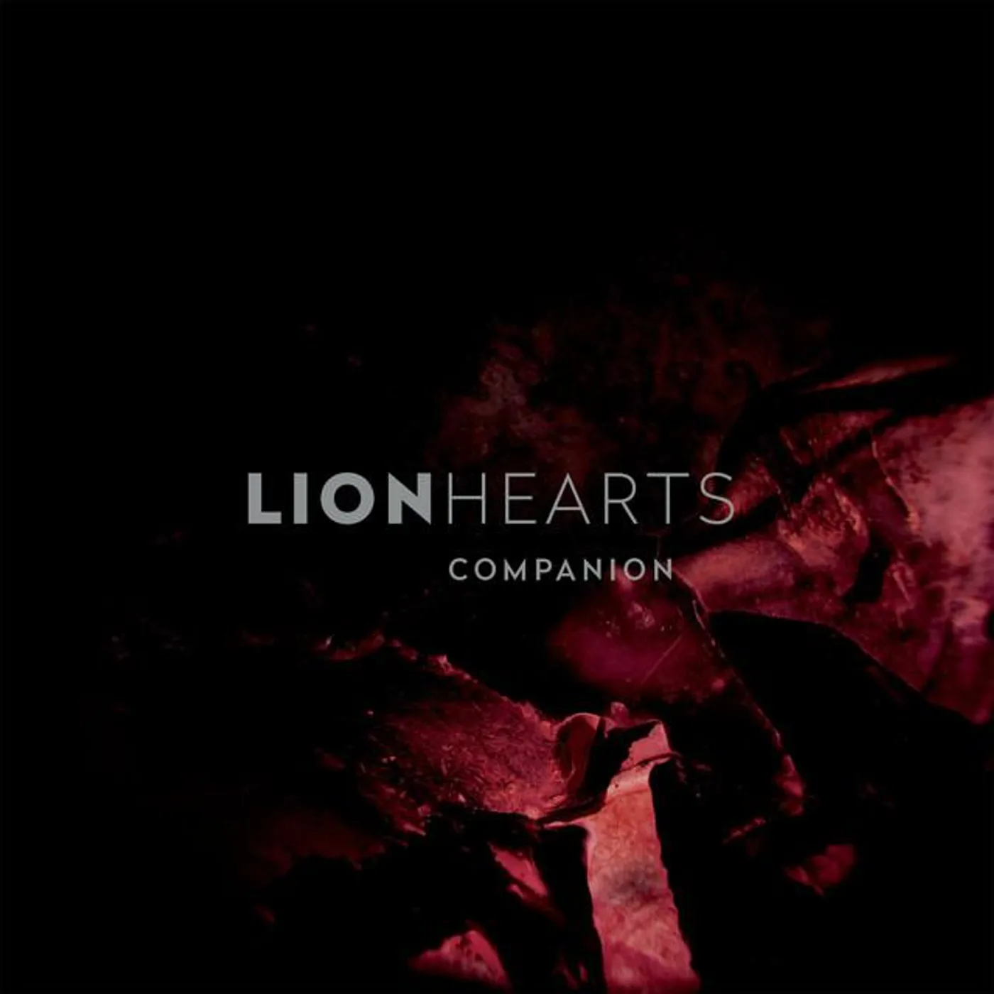 Lionhearts Brand Page