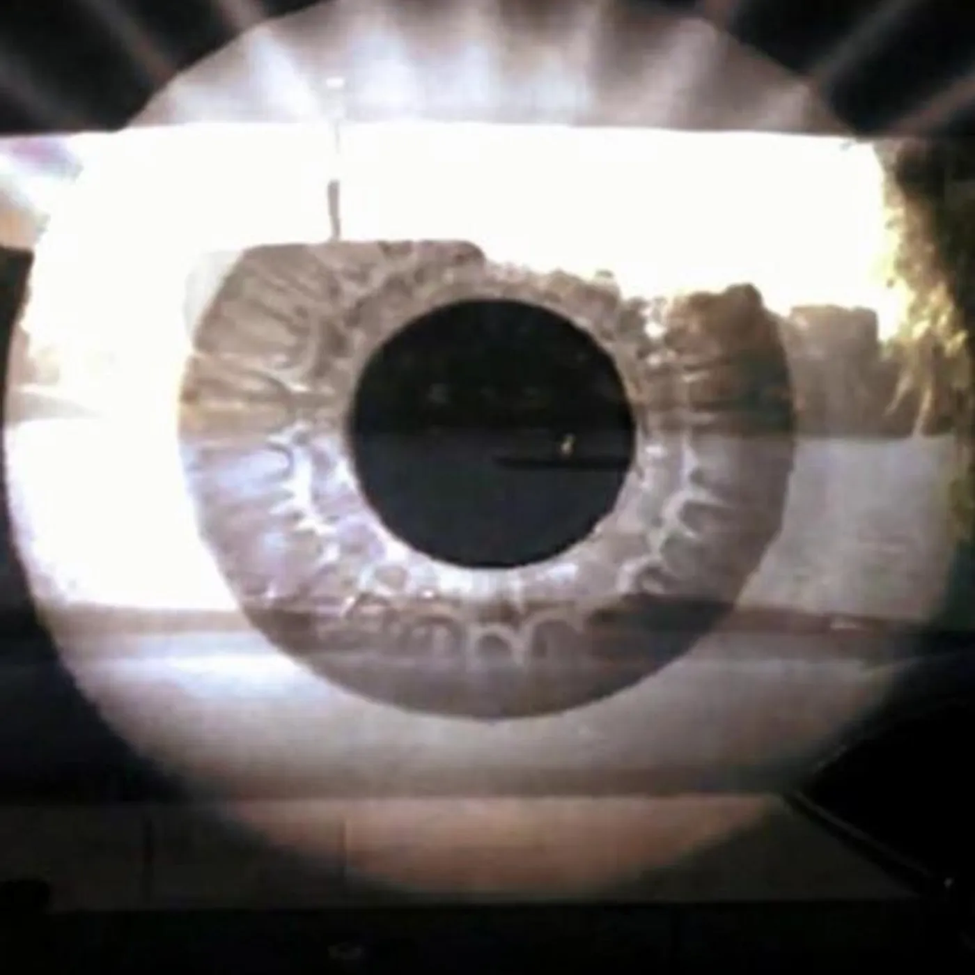 Liquidarlo Celuloide Brand Page